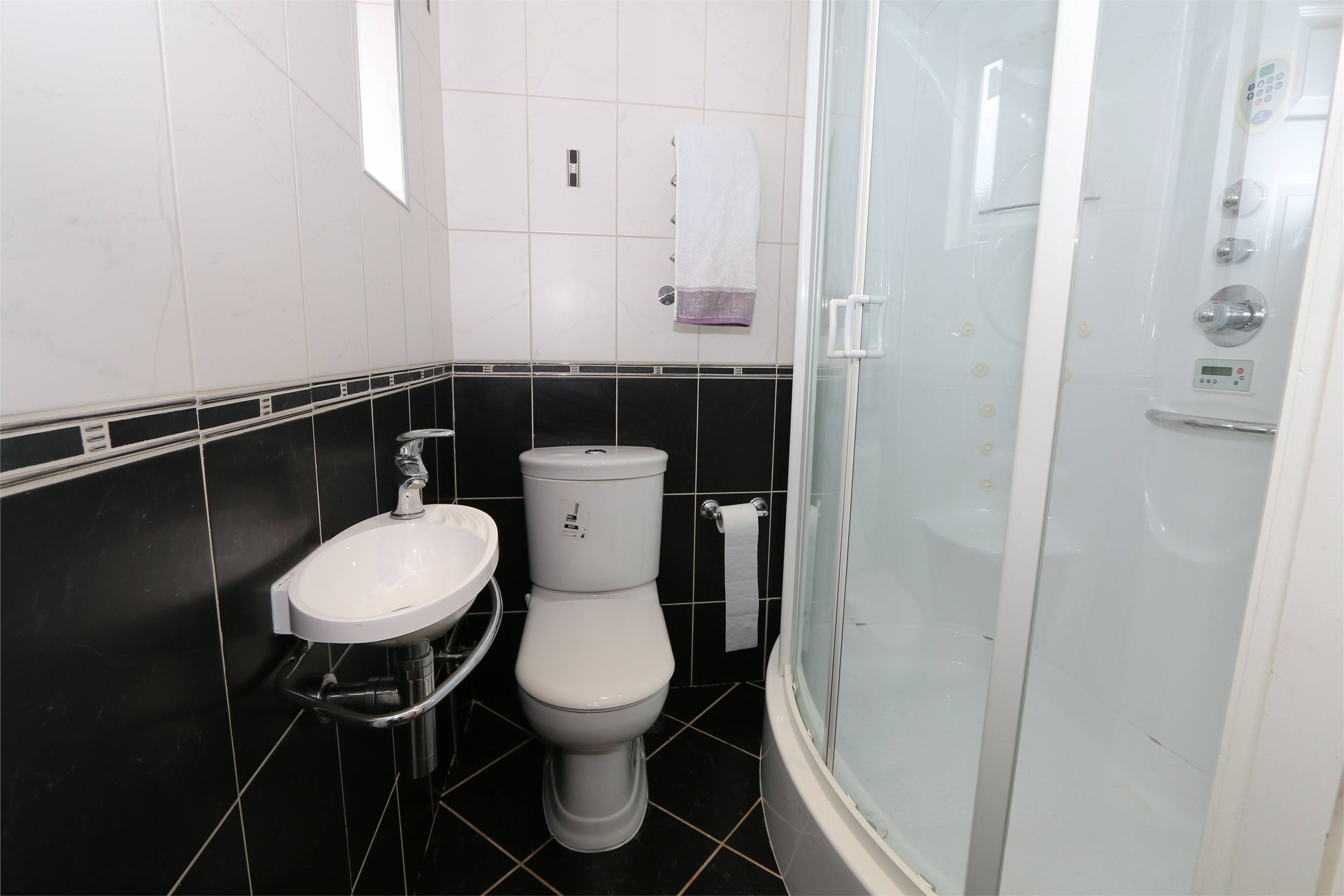 Downstairs Shower