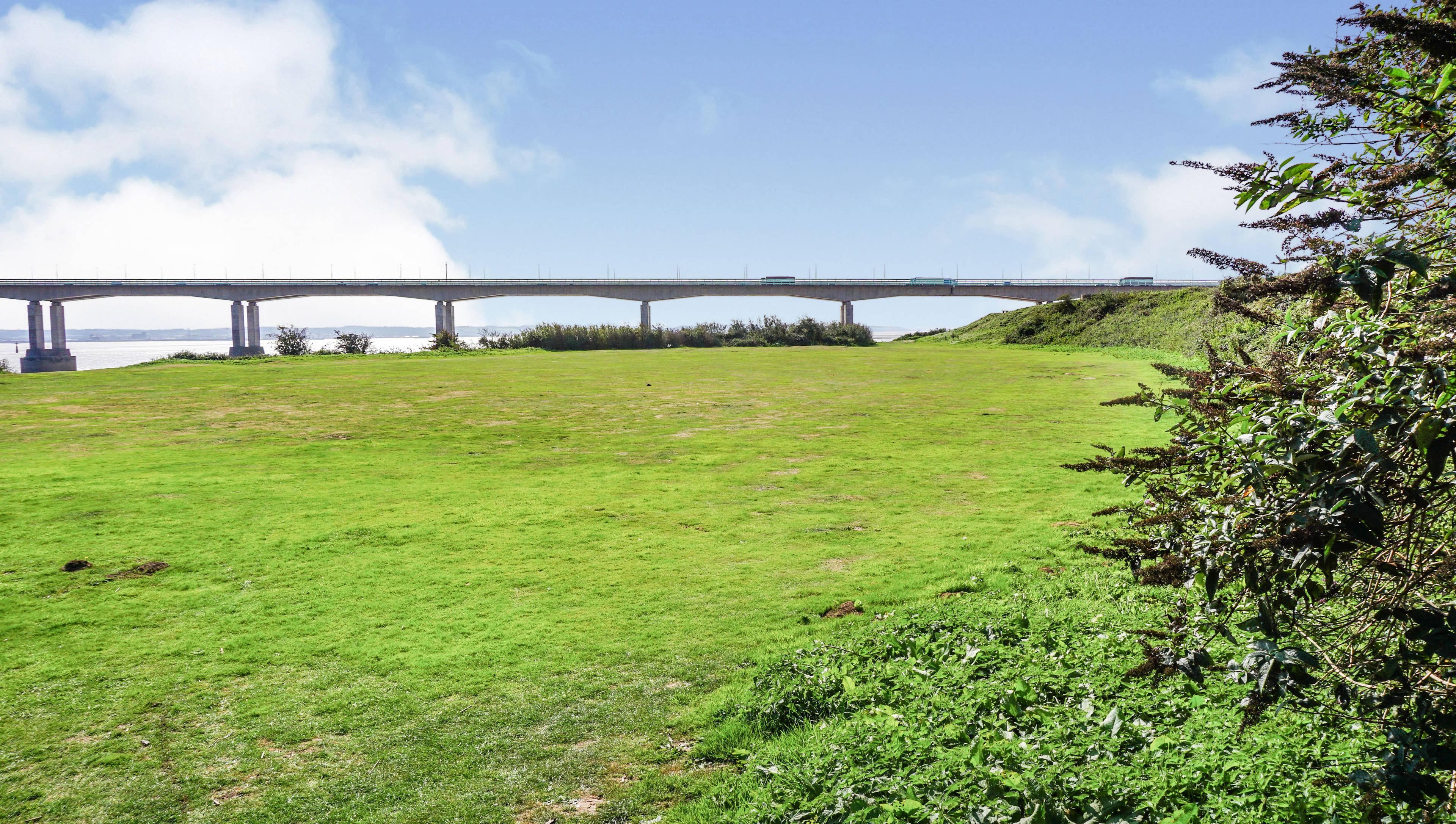 Nearby Park