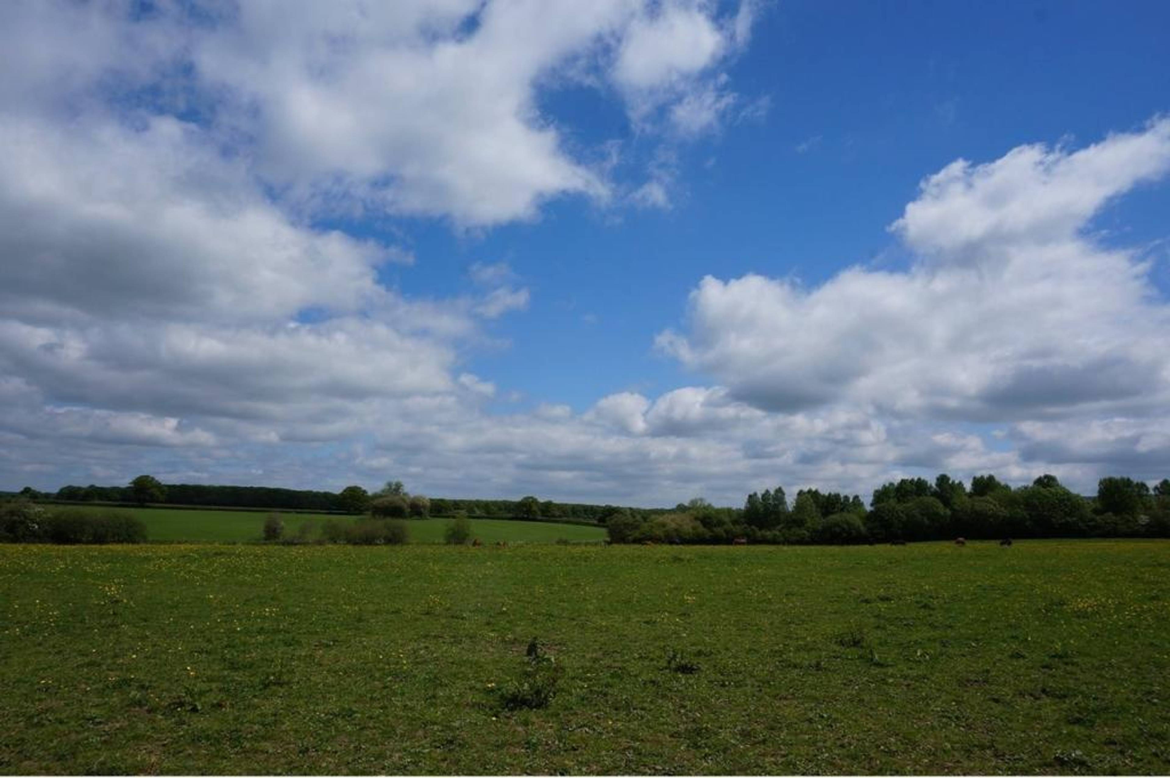 Local Area