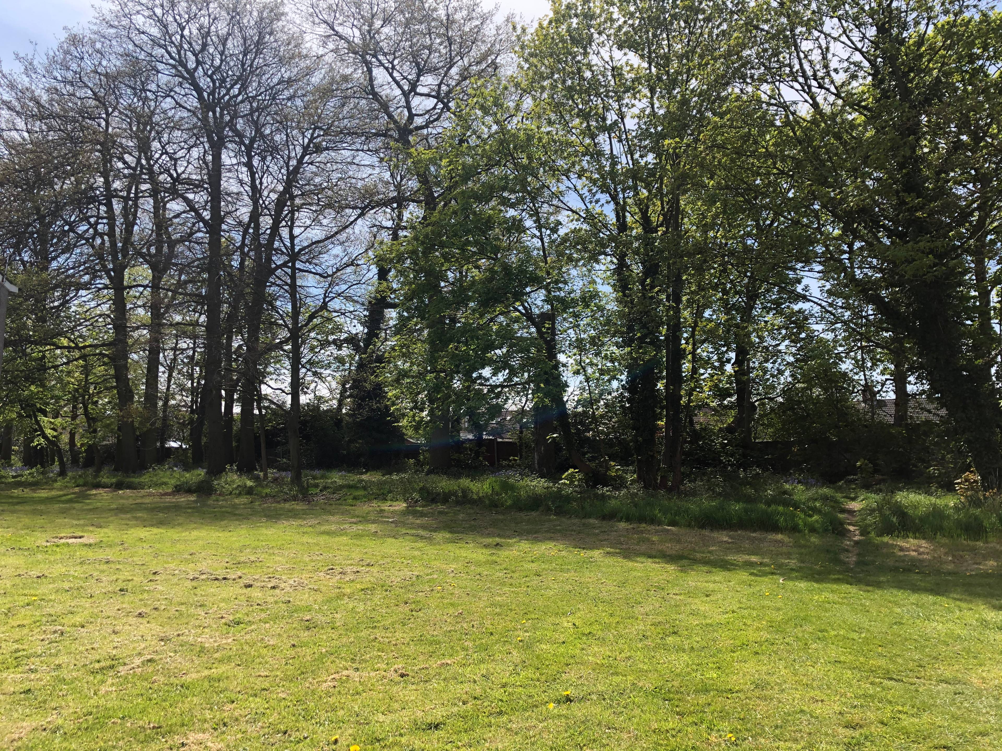 Communal Gardens
