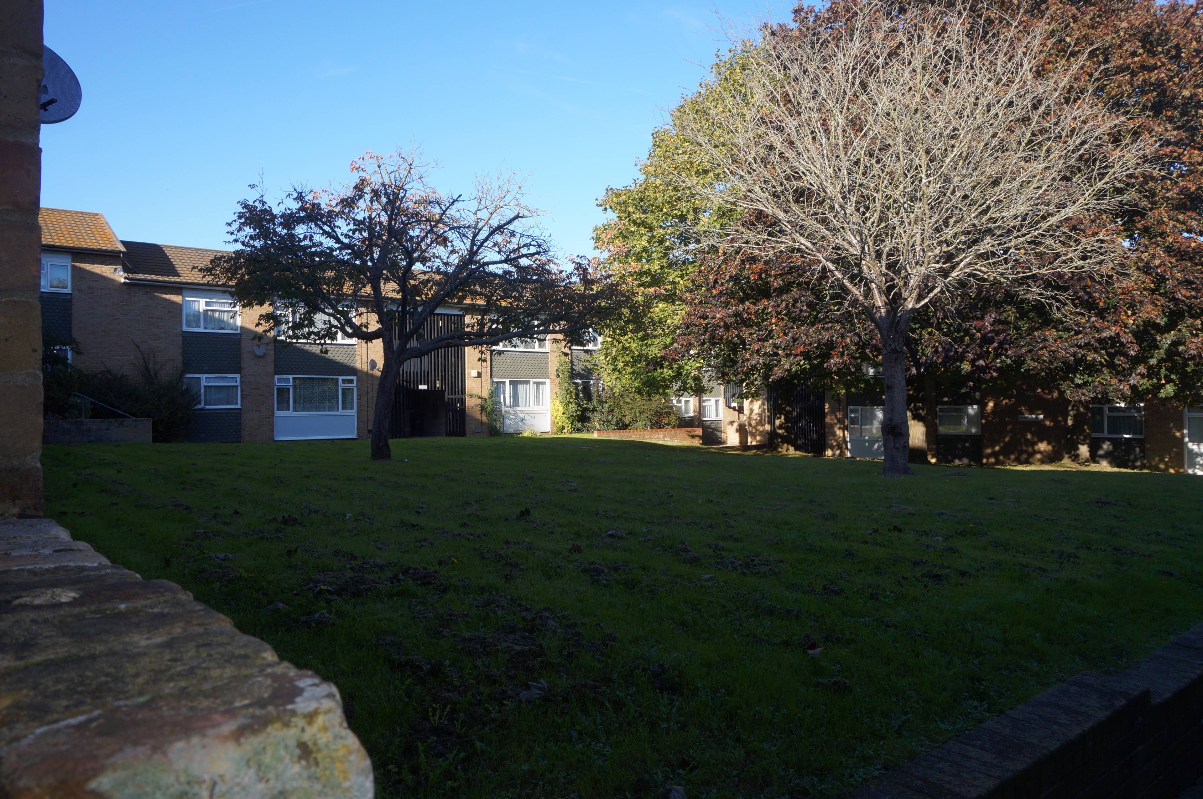 Communal Gardens
