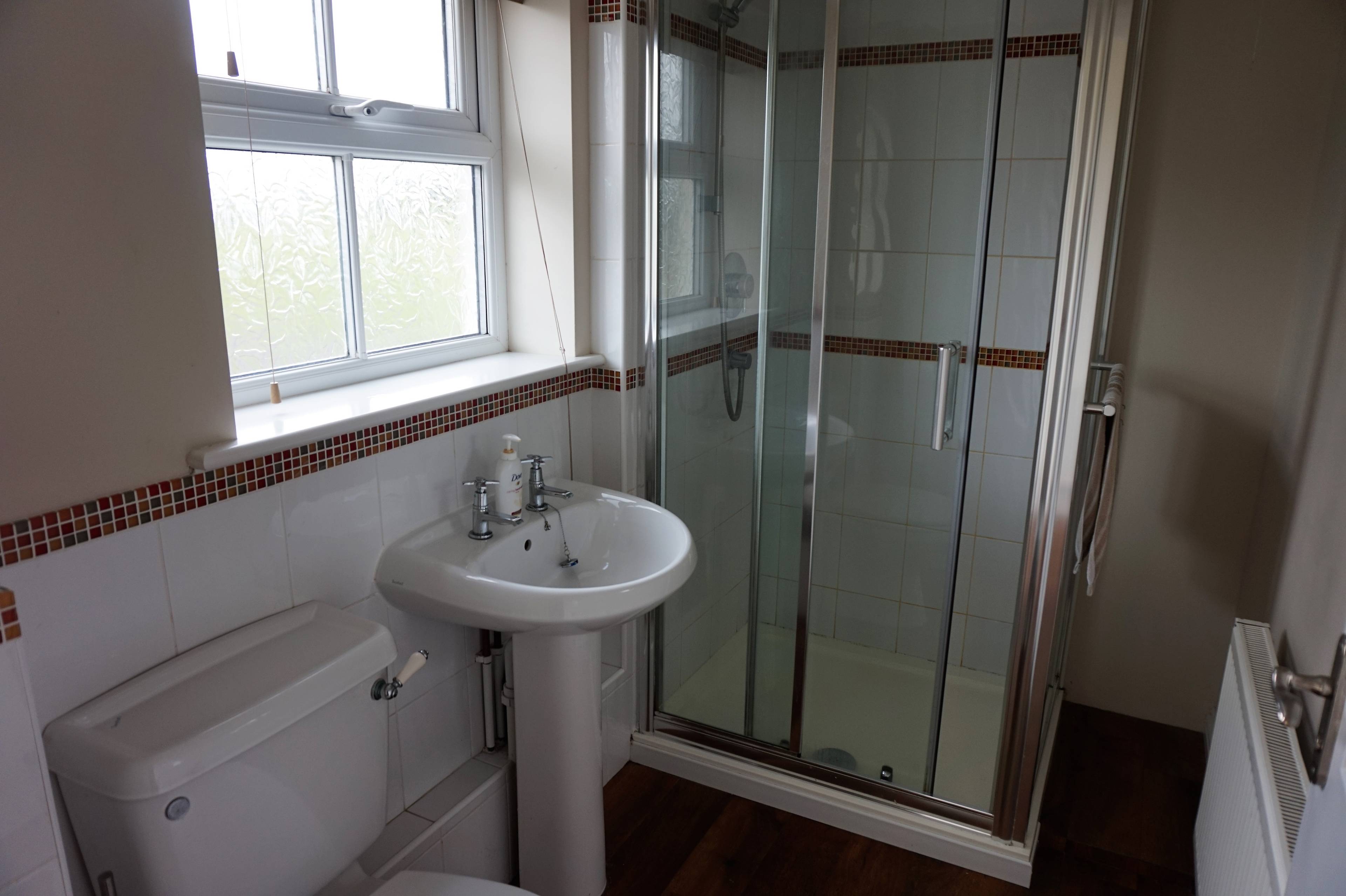 Downstairs Shower