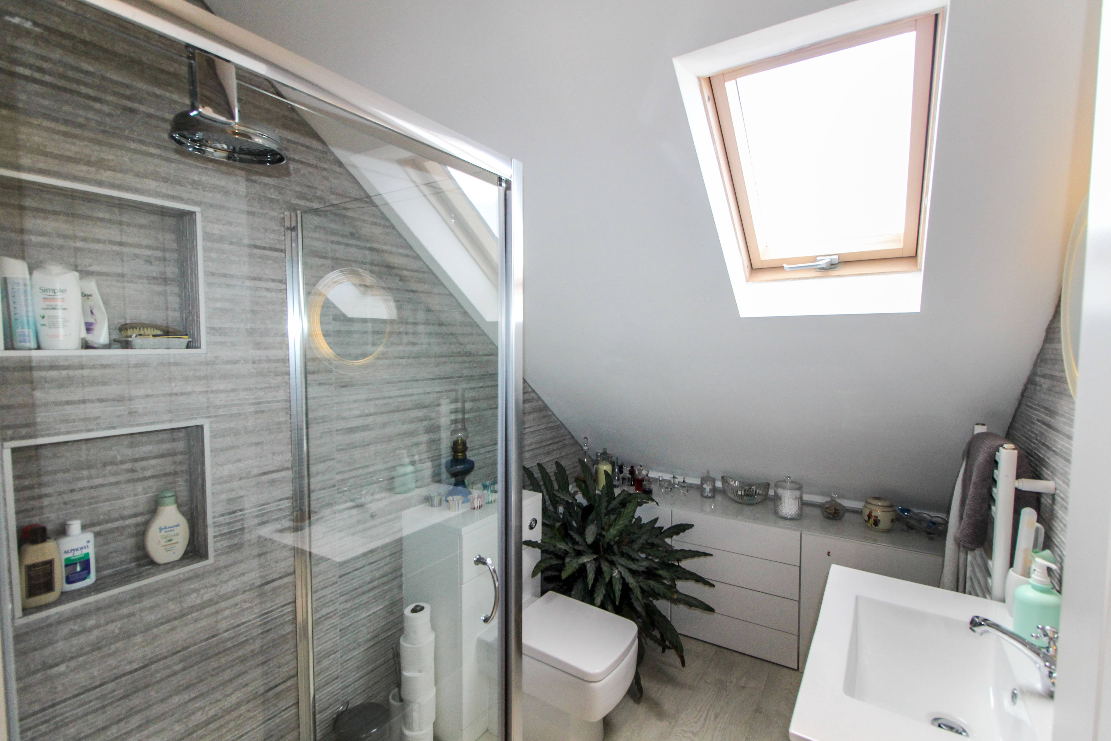 Annexe Shower Room
