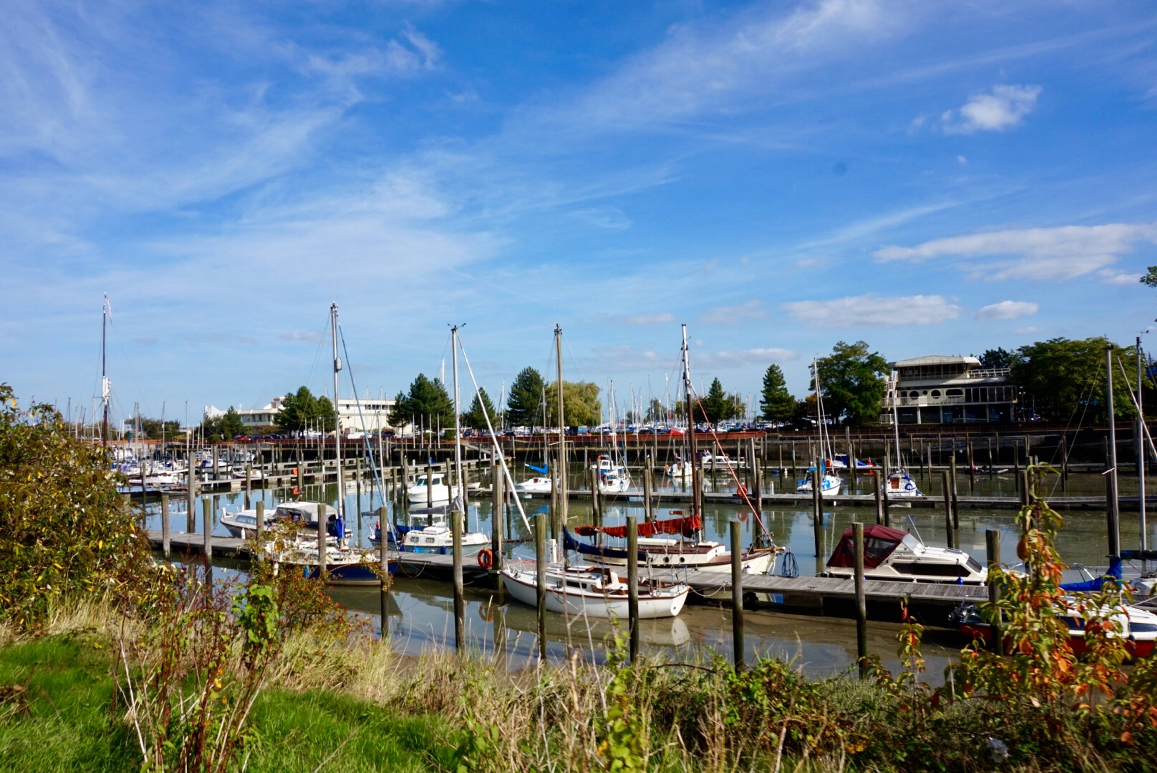 Surrounding Area