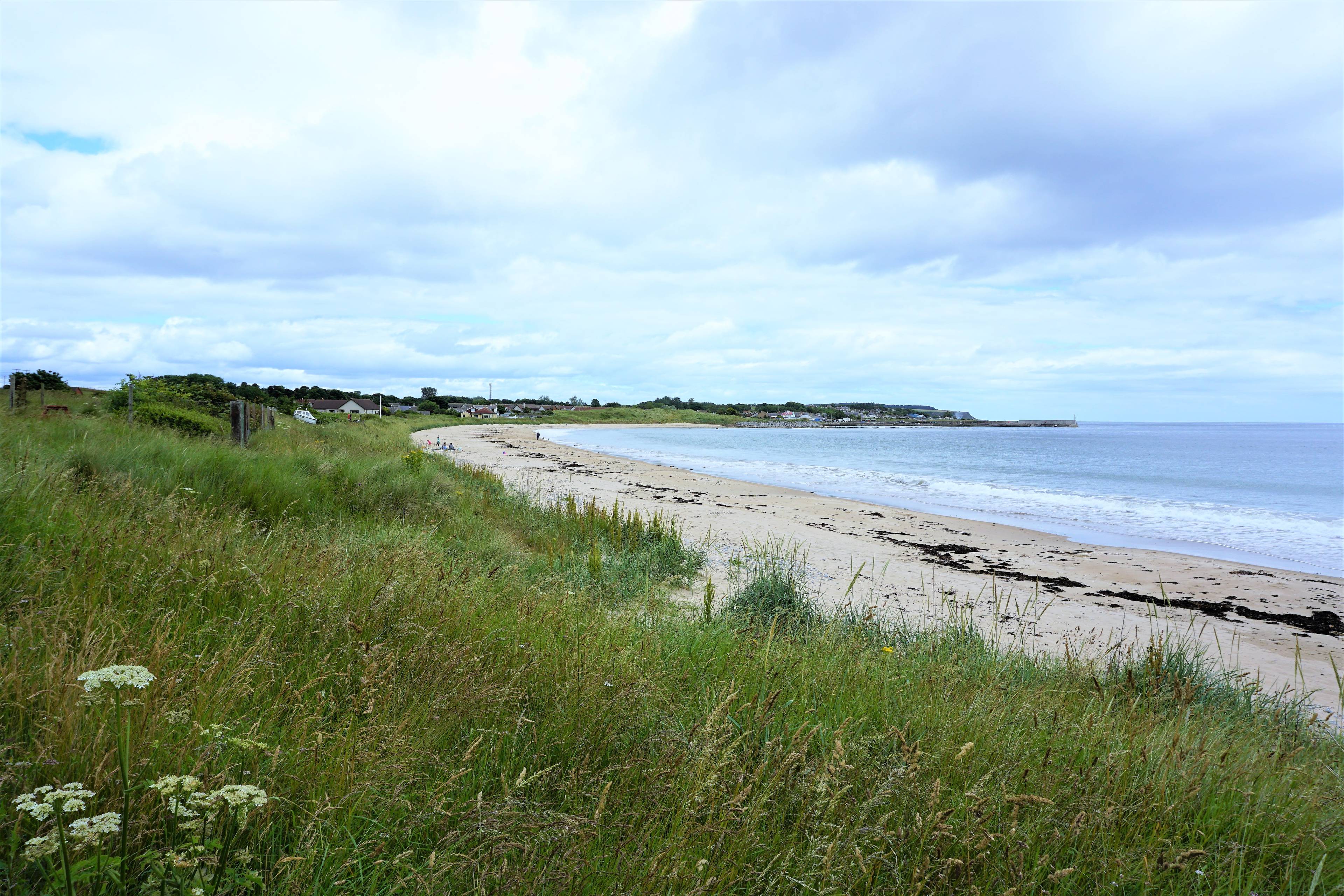Beach View