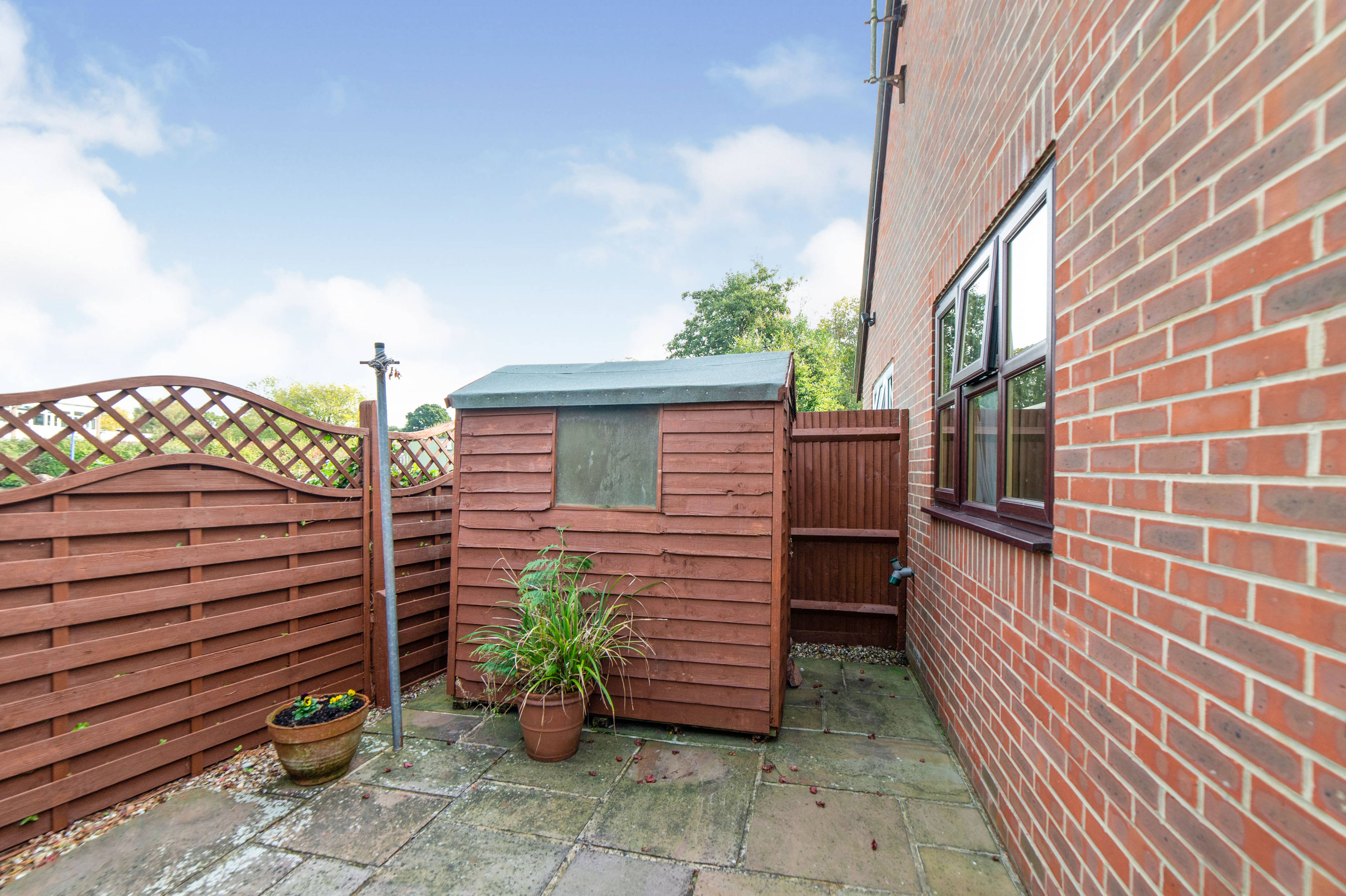 Shed