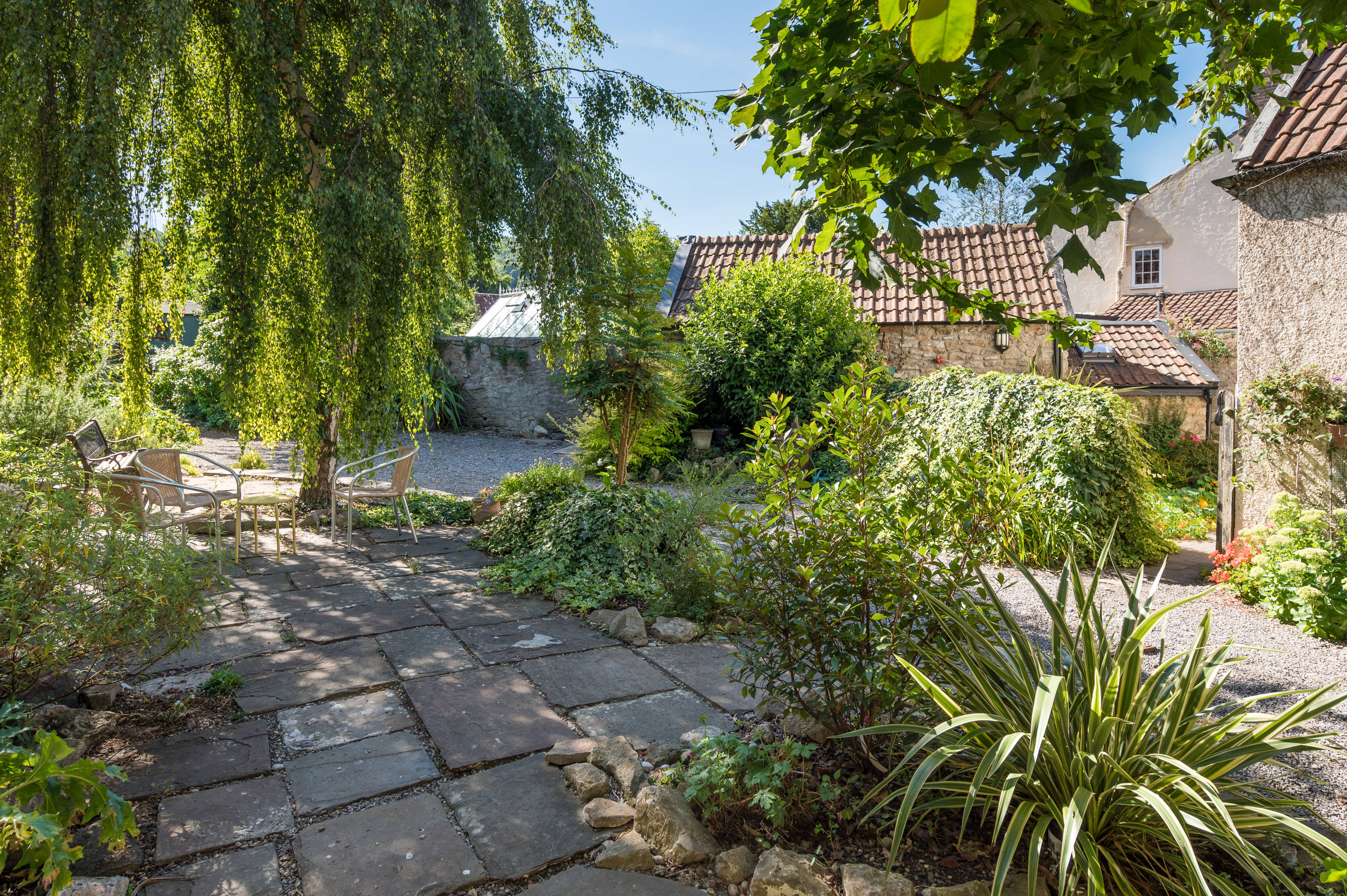 Mature Garden