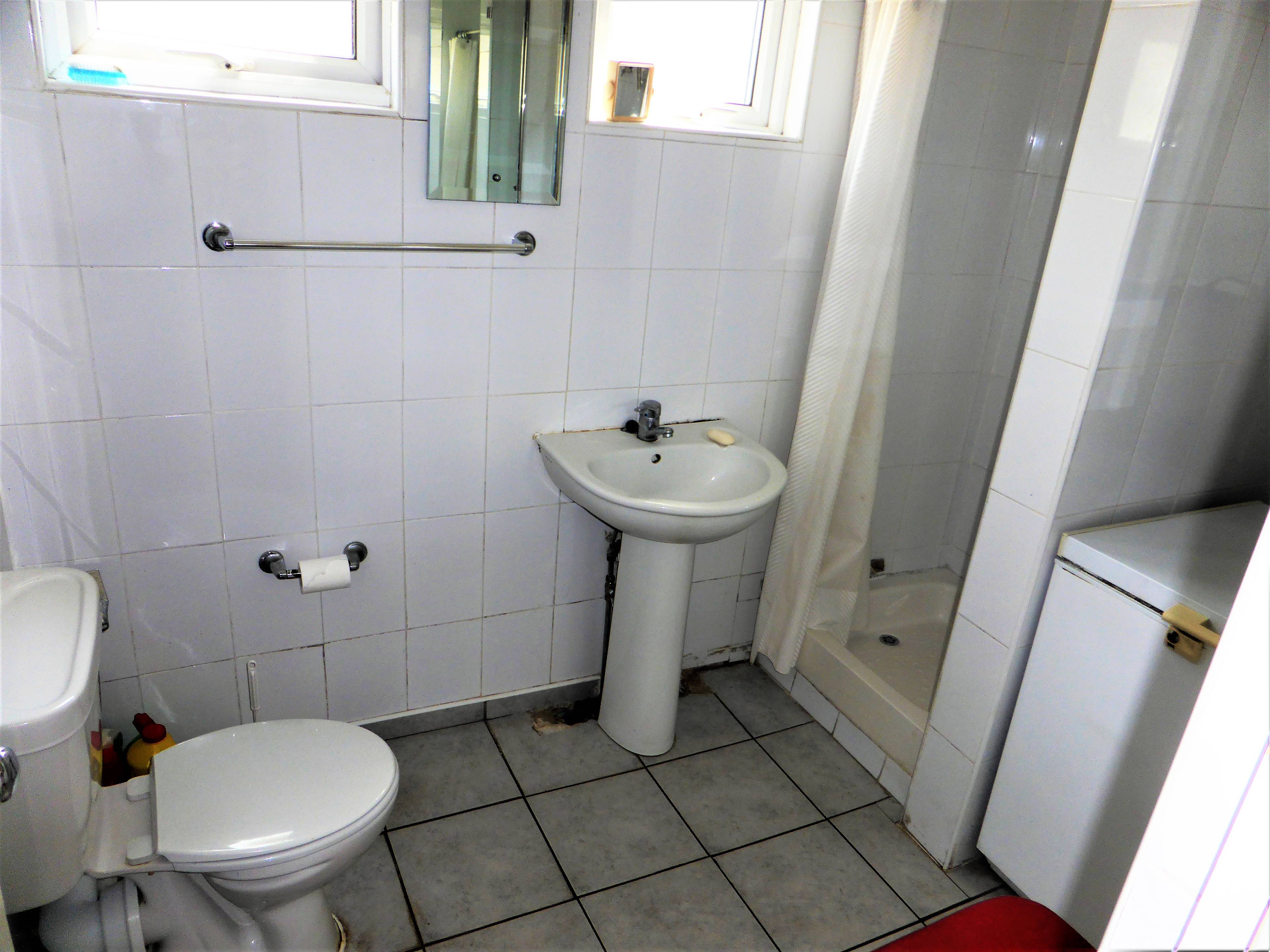 Downstairs Shower