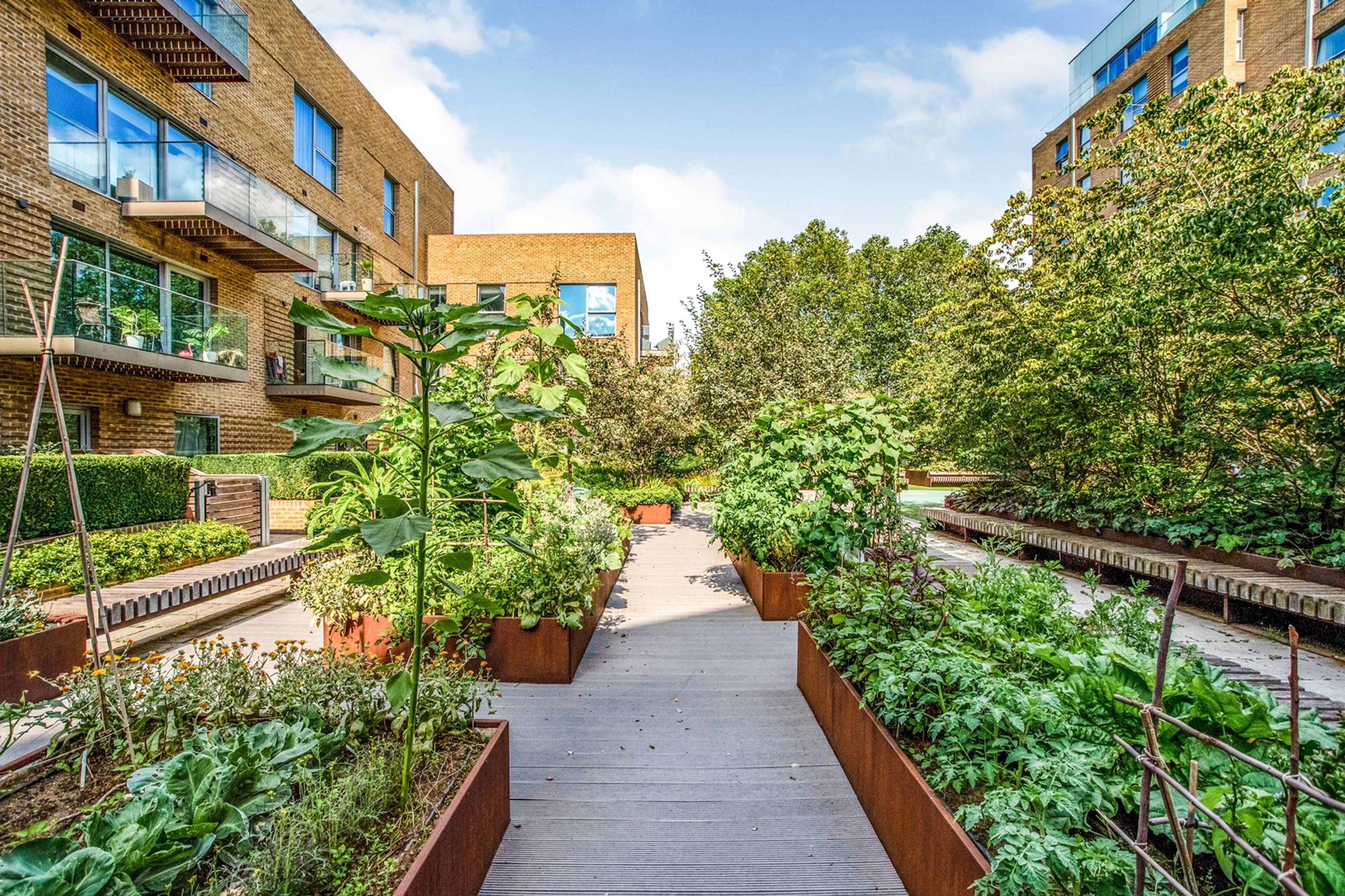 Communal Gardens