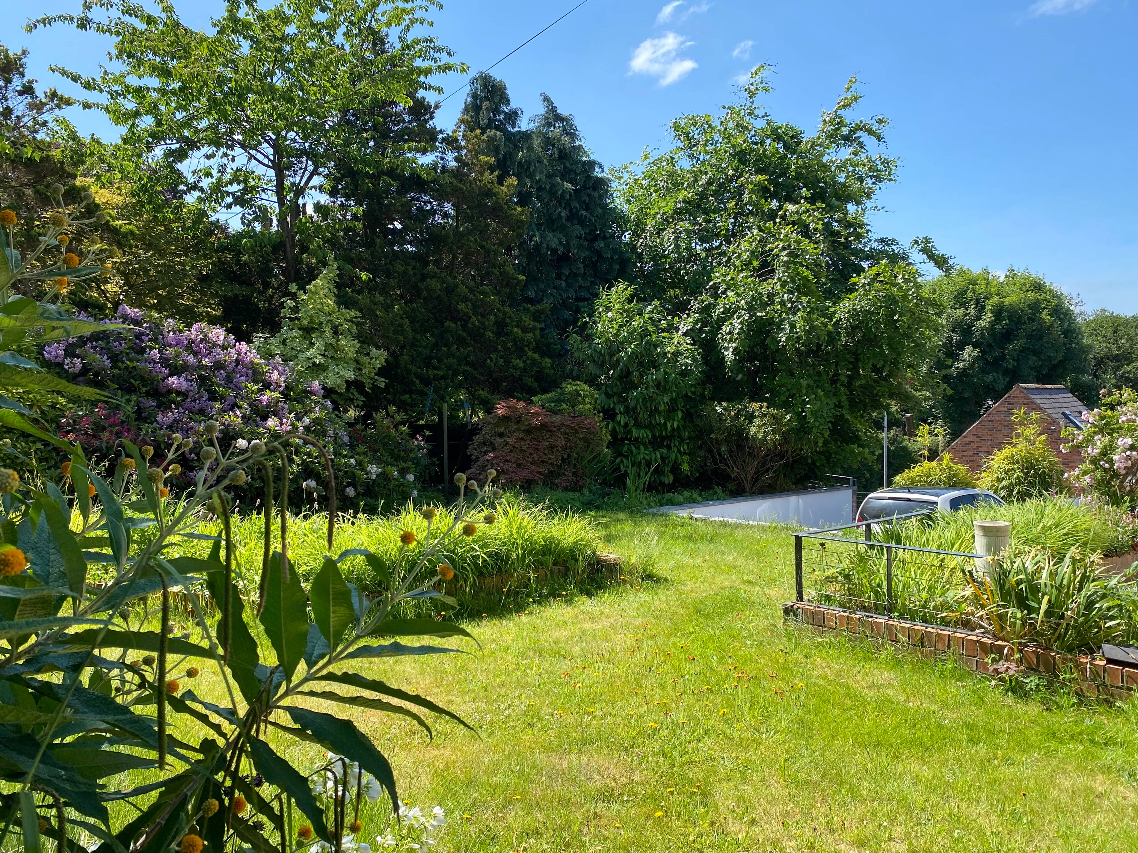 Front Garden