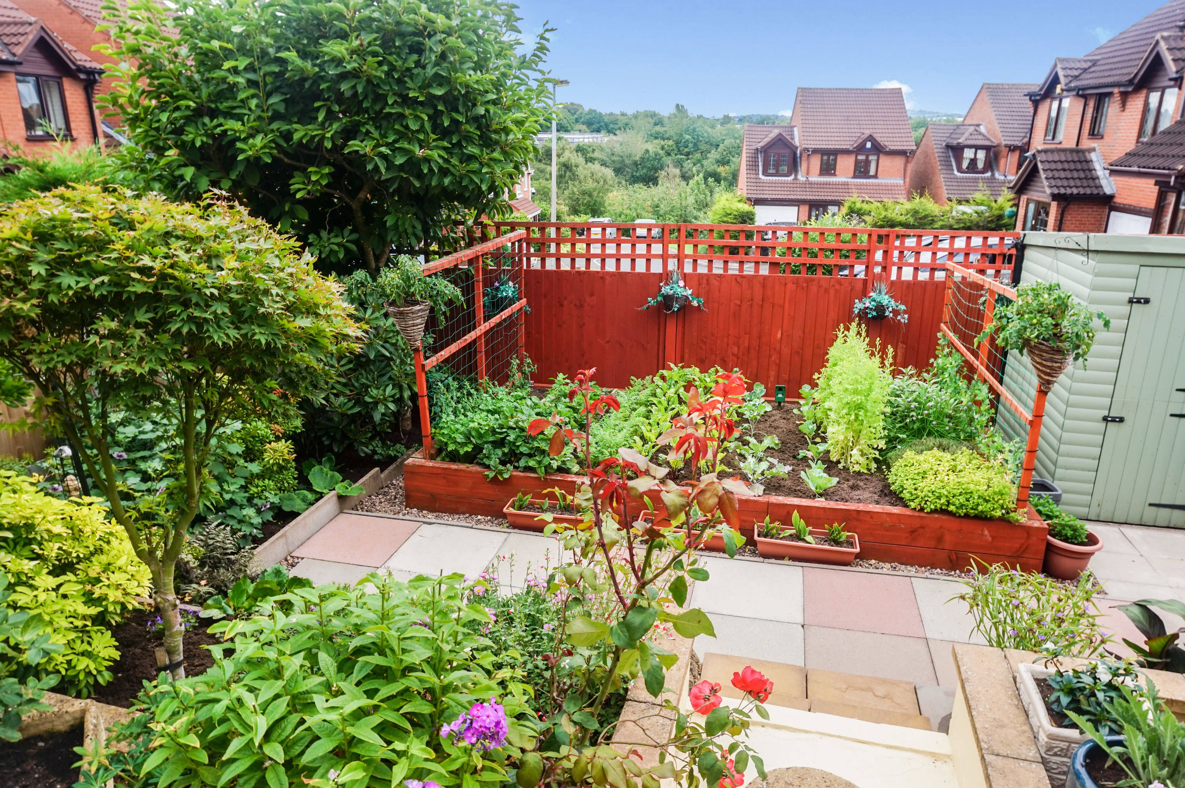 Garden