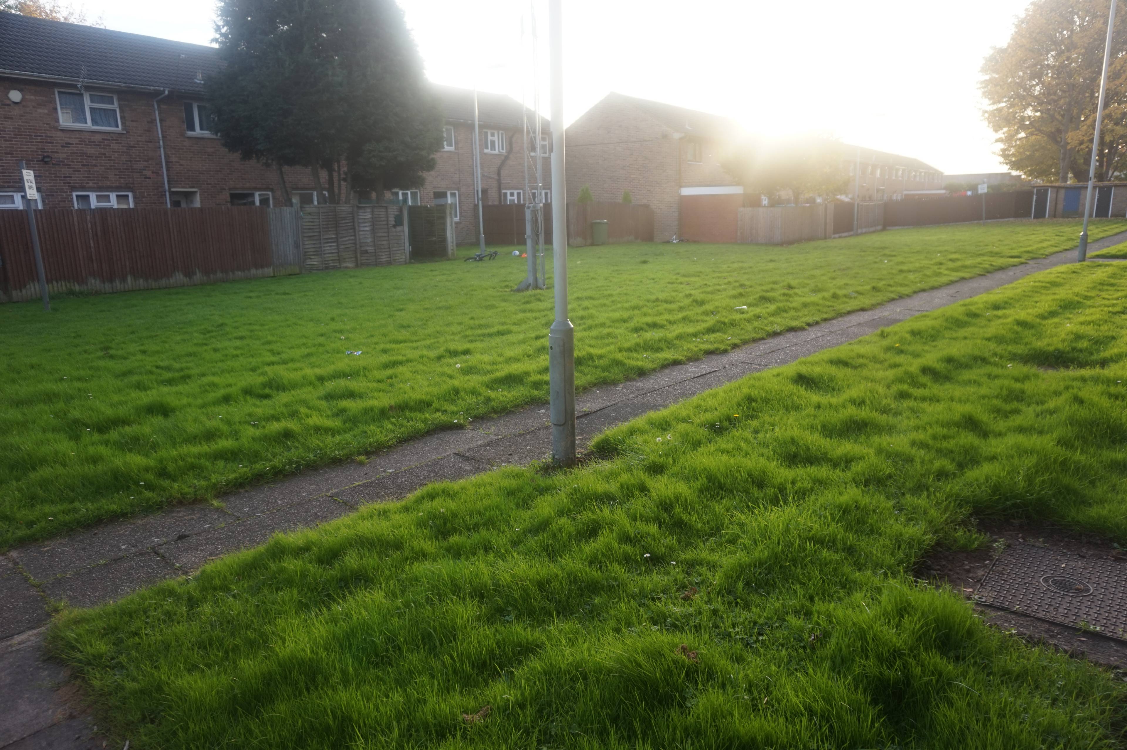Communal Gardens