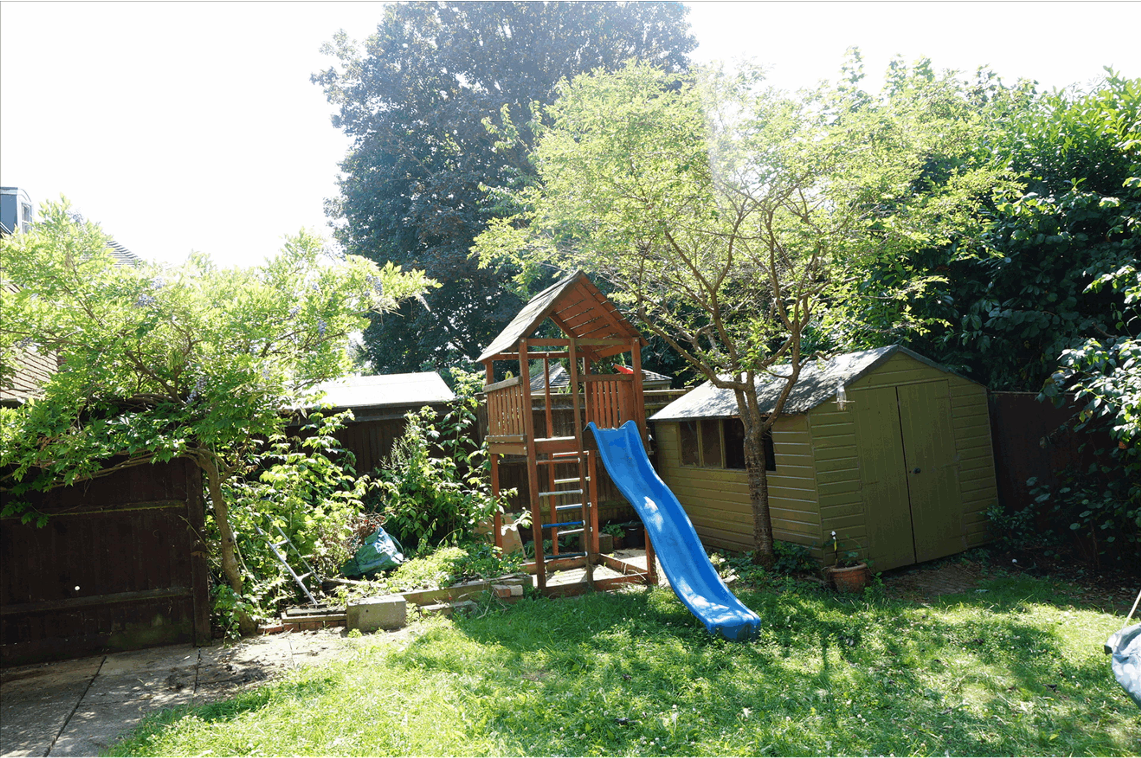 Shed