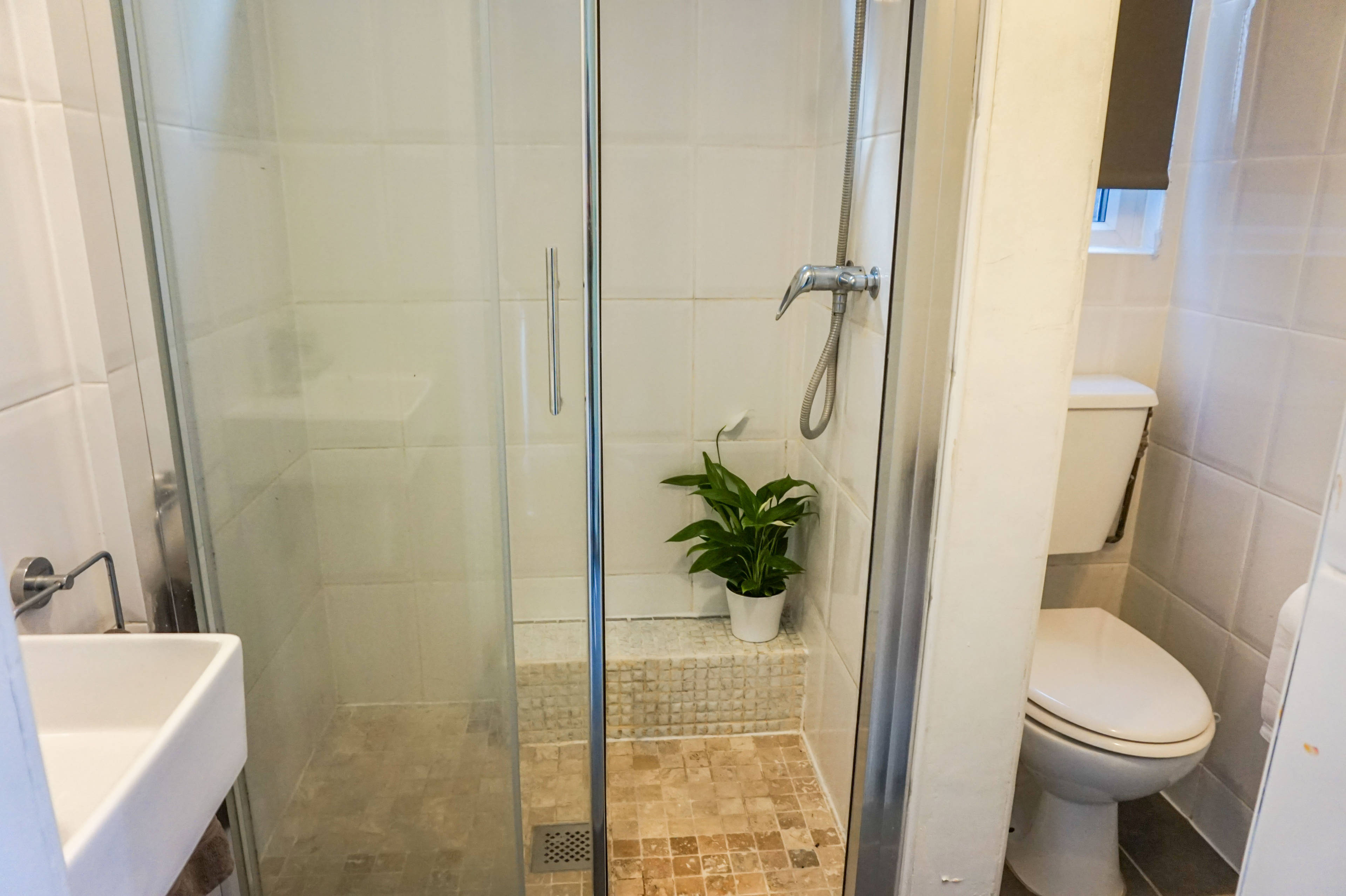Downstairs Shower