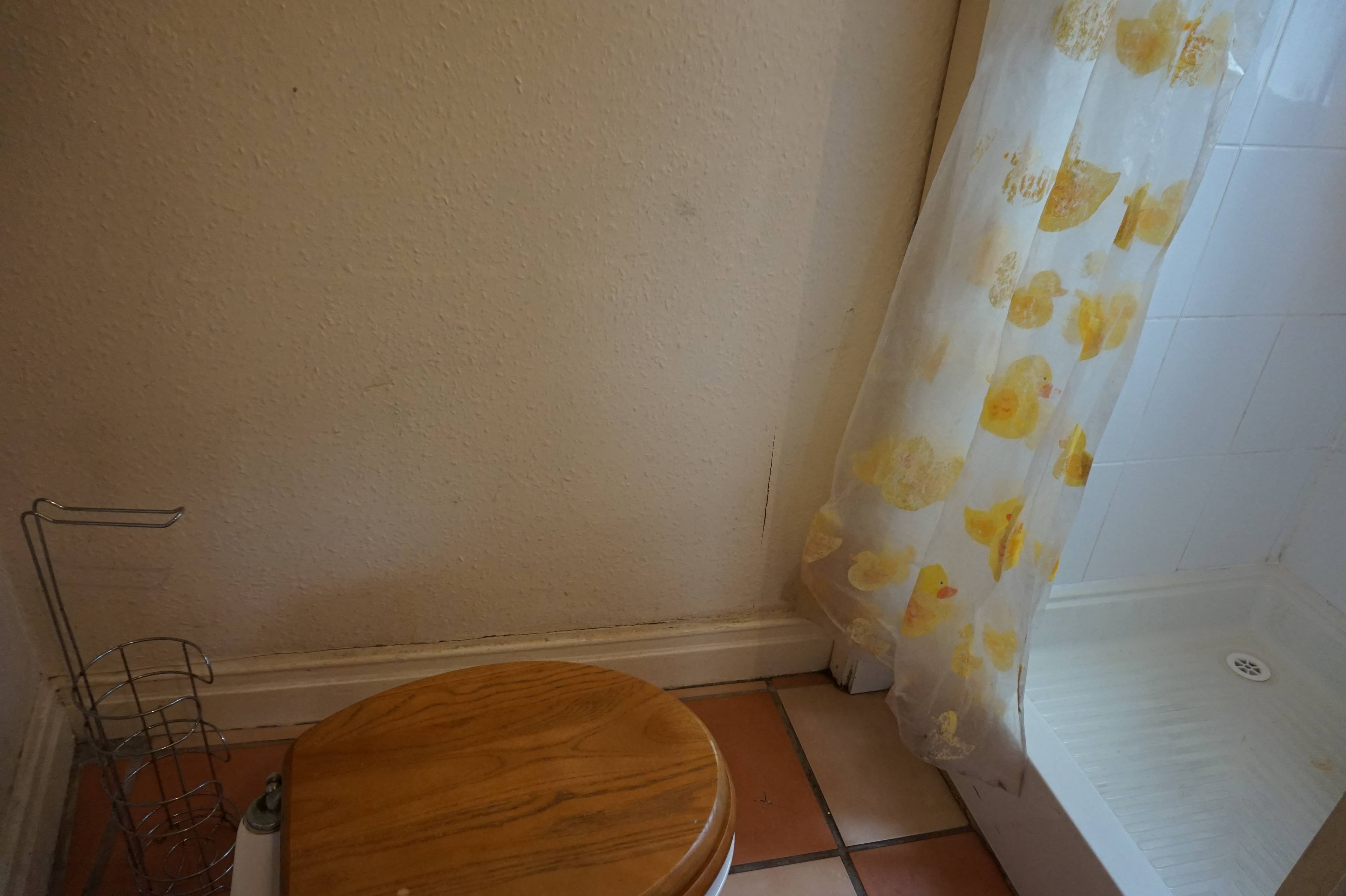 Downstairs Shower