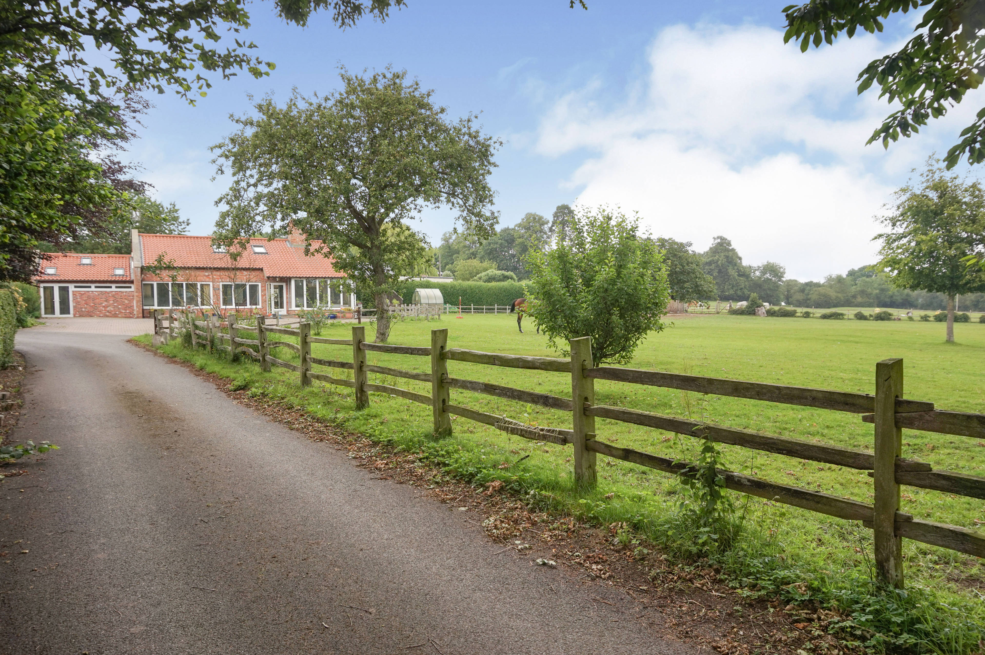 The Property