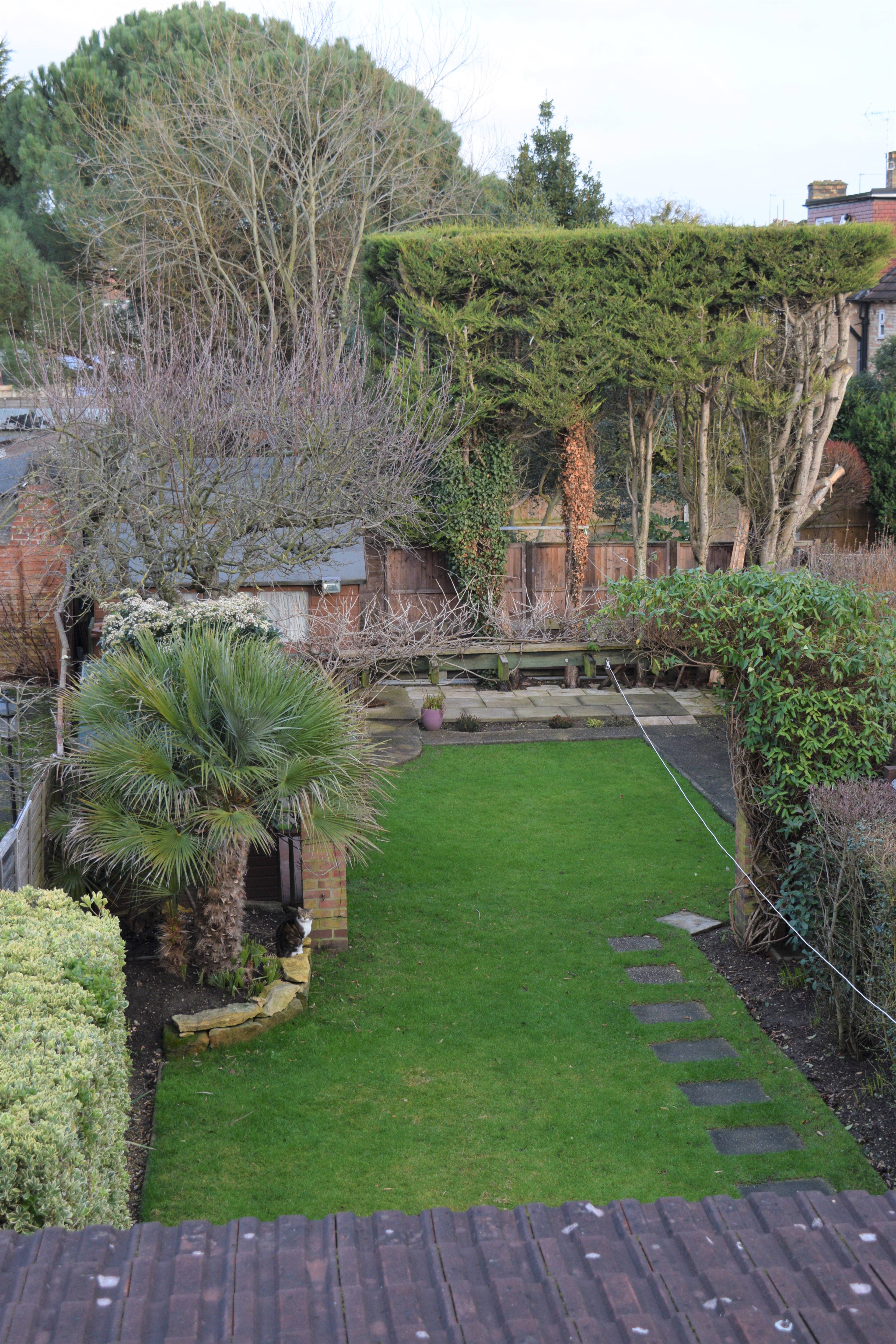 Mature Garden