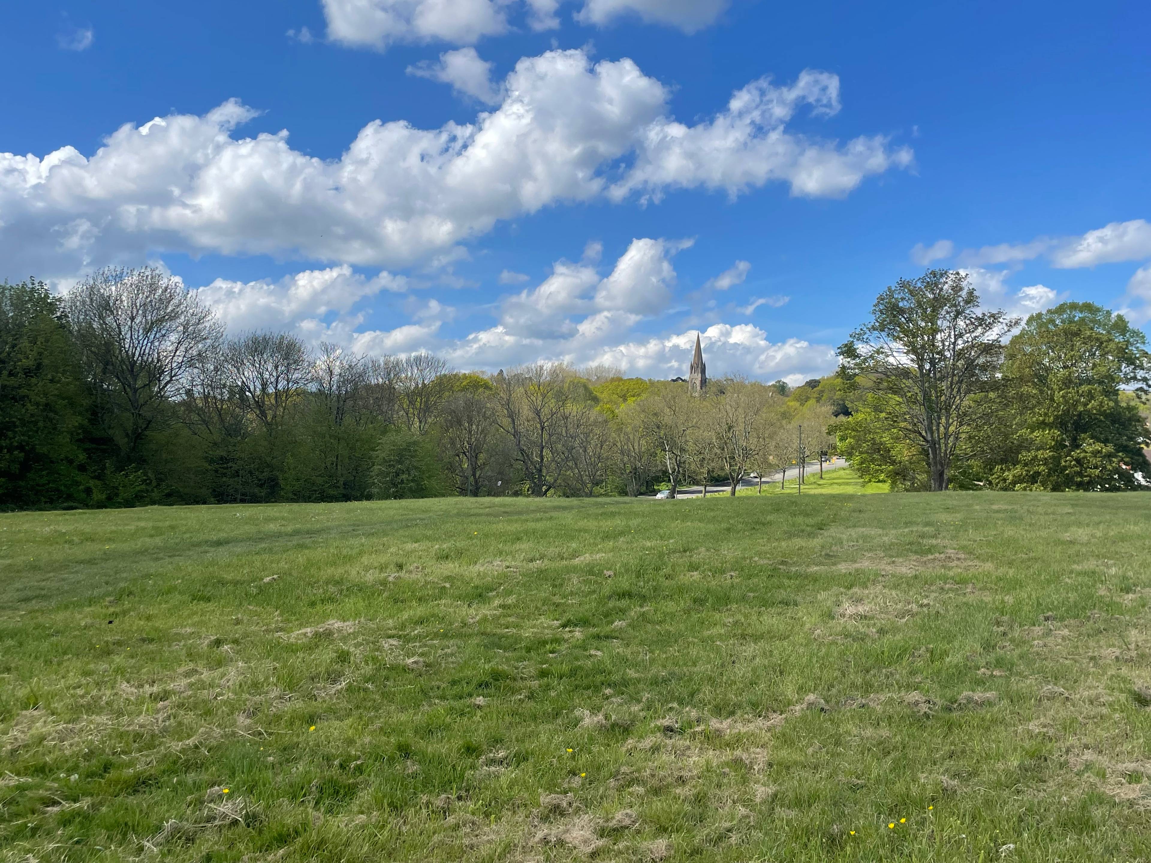 Field