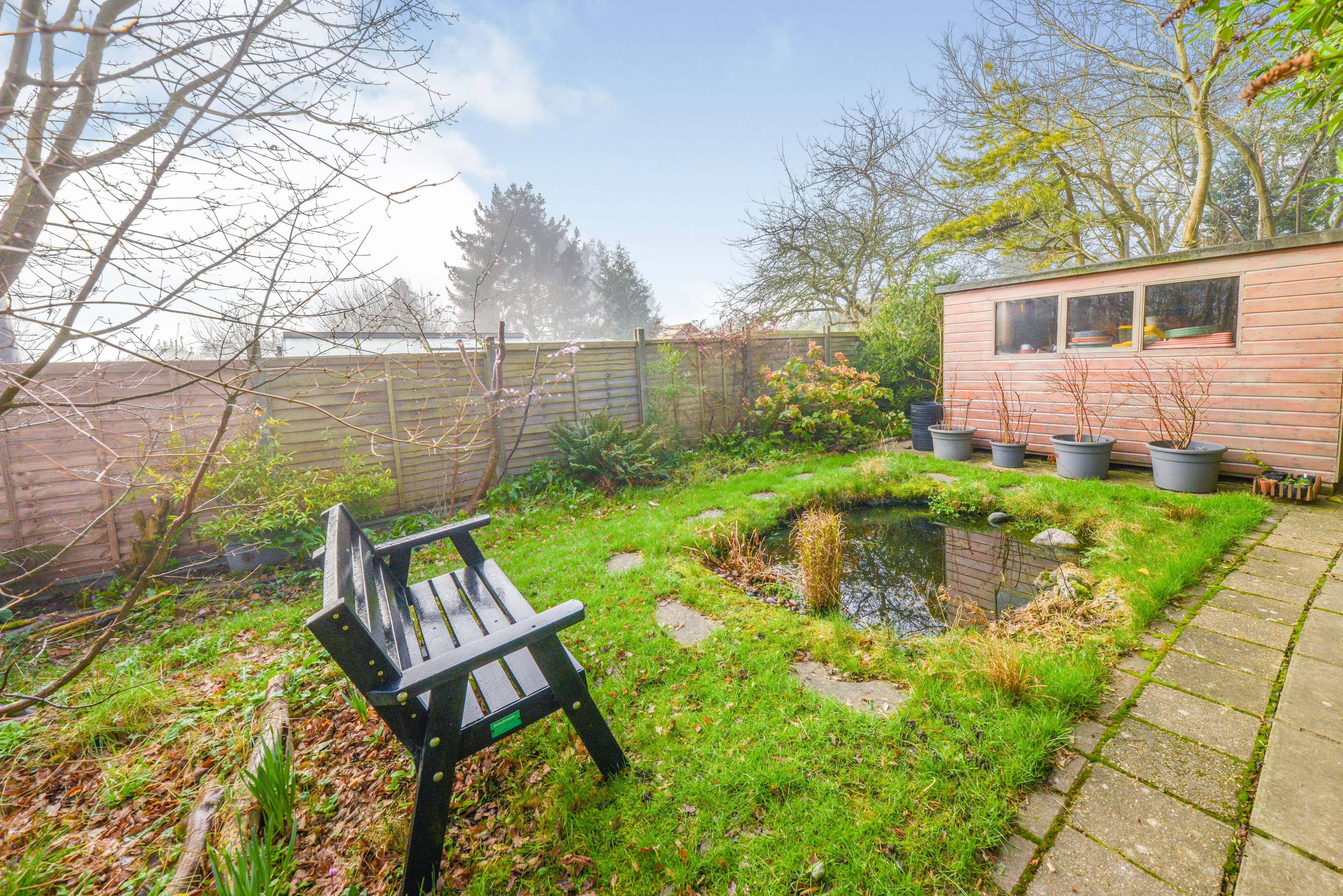 Site Rear