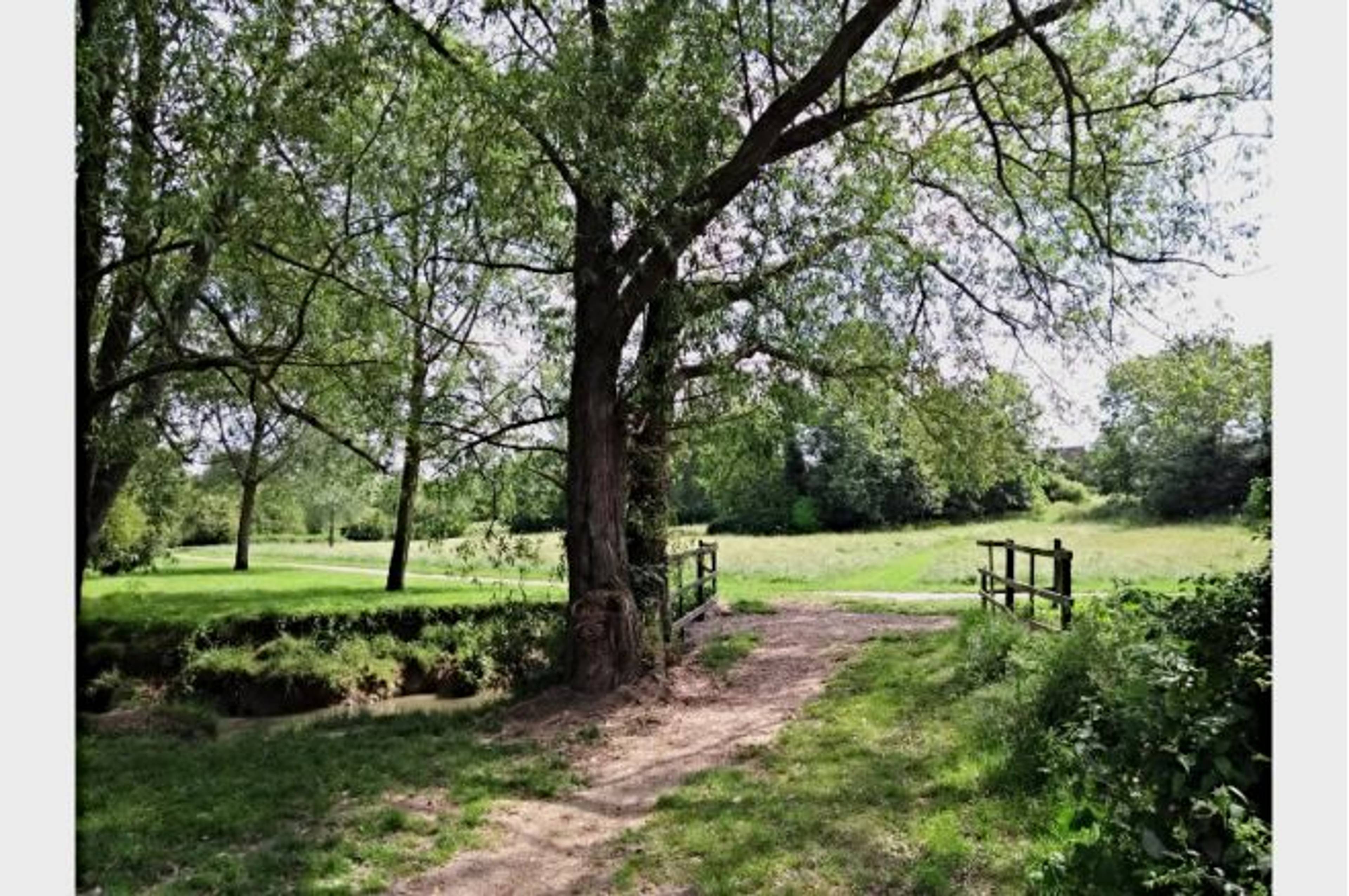 The Park