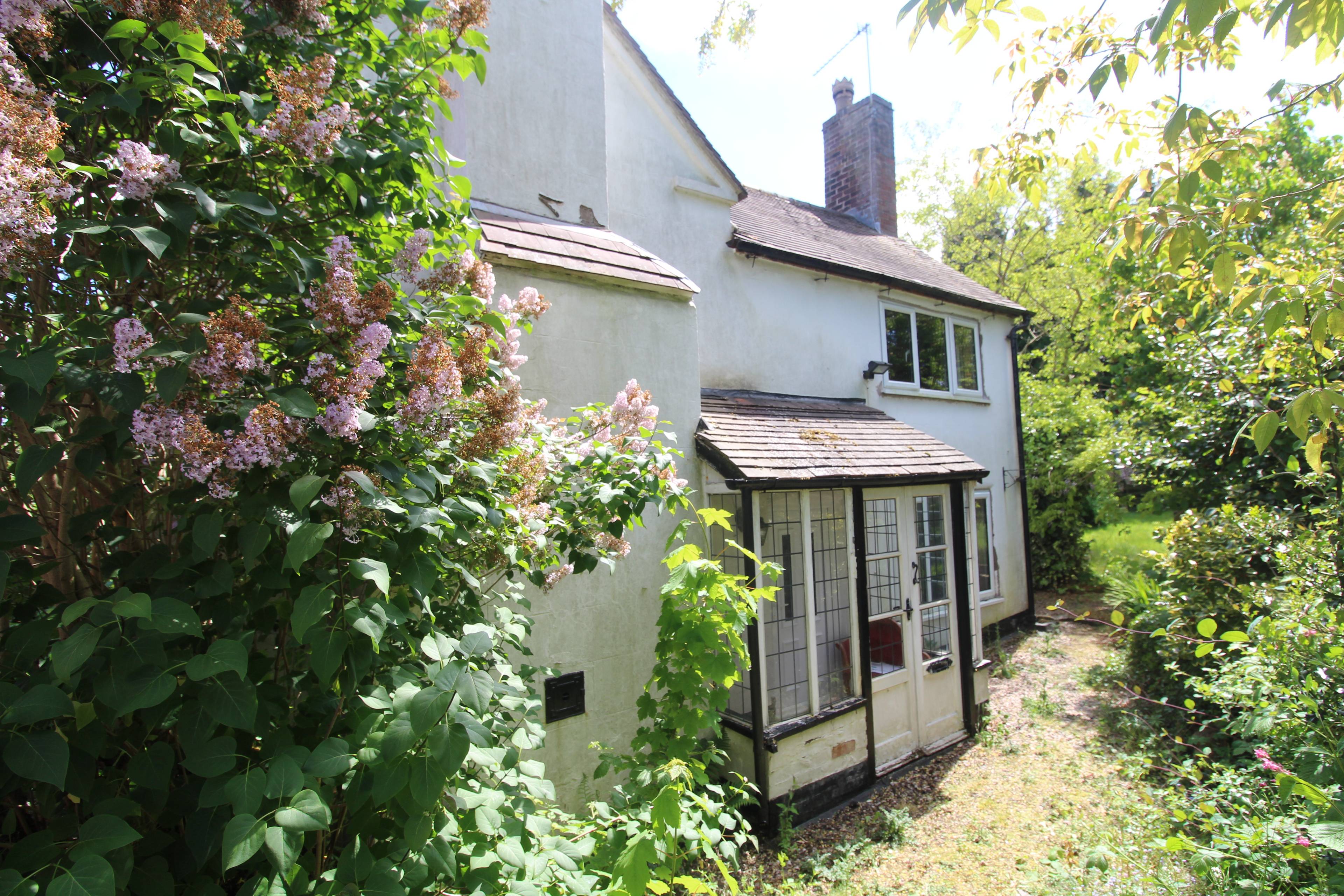 The Property