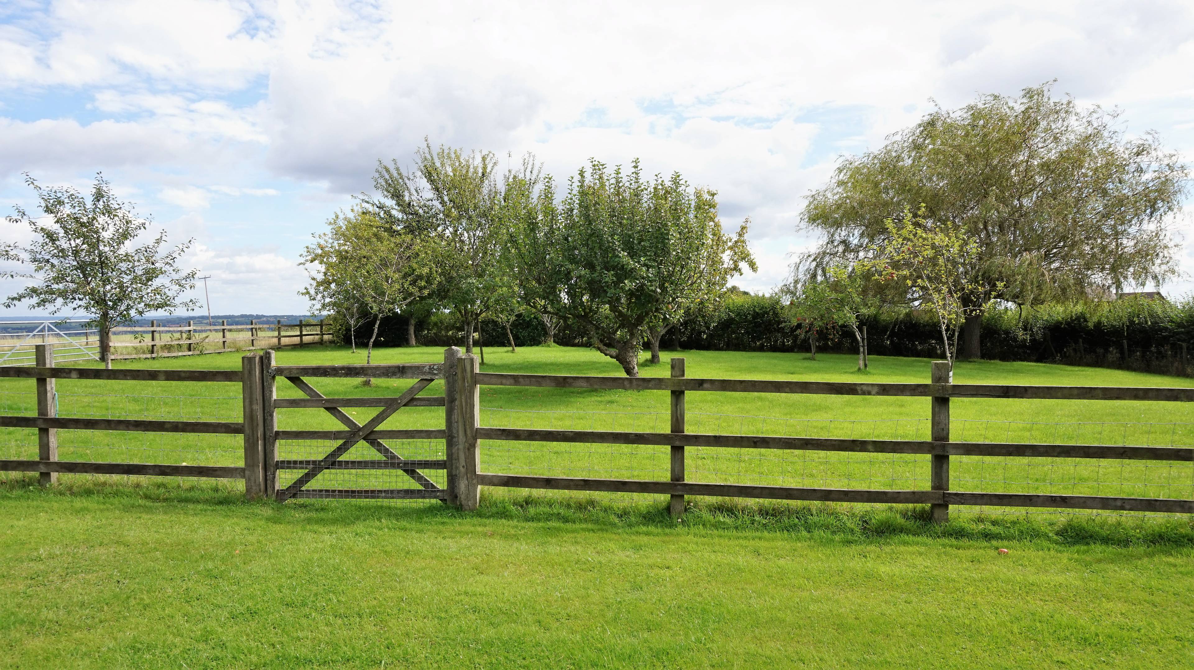 Orchard