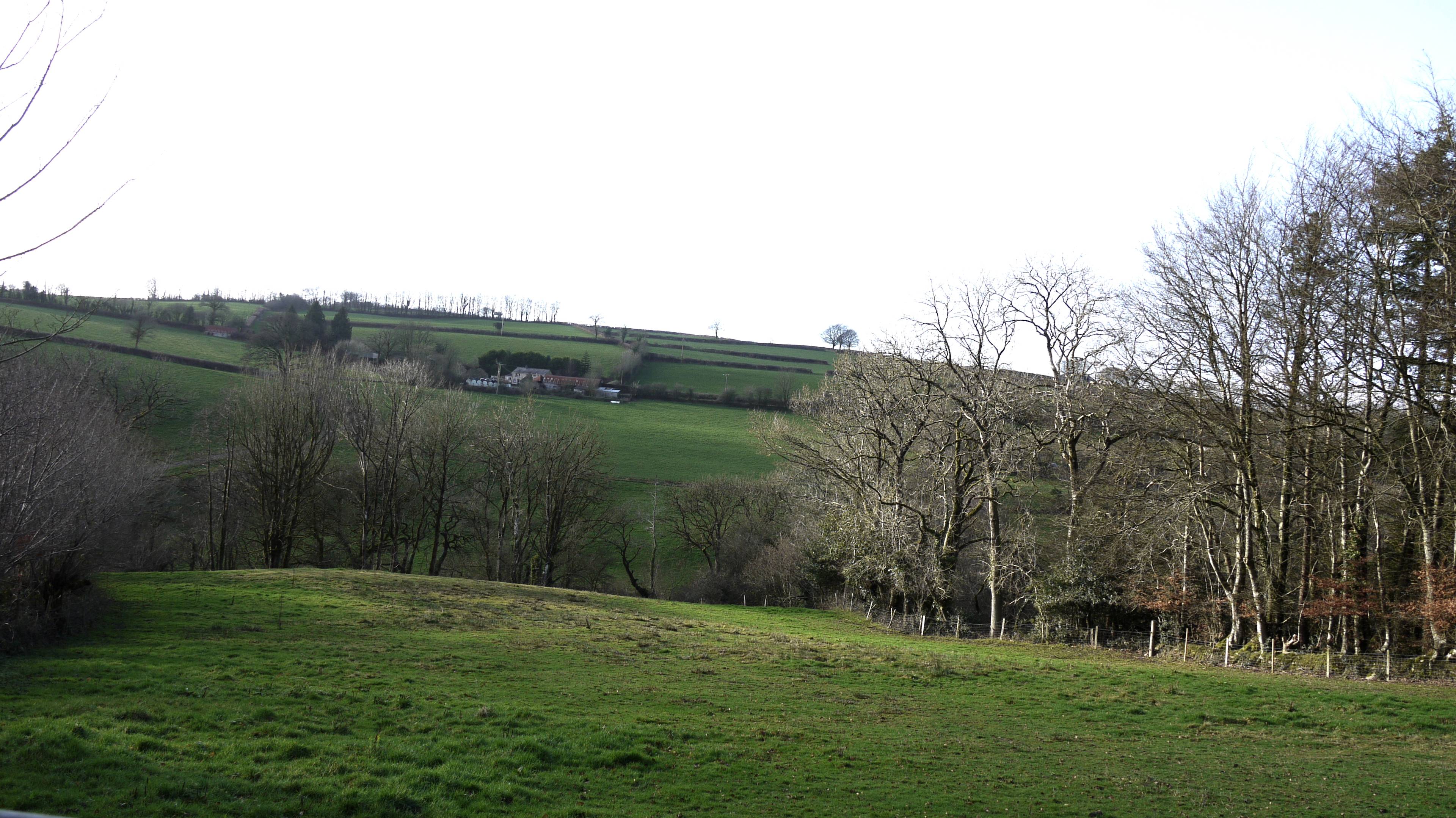 Field