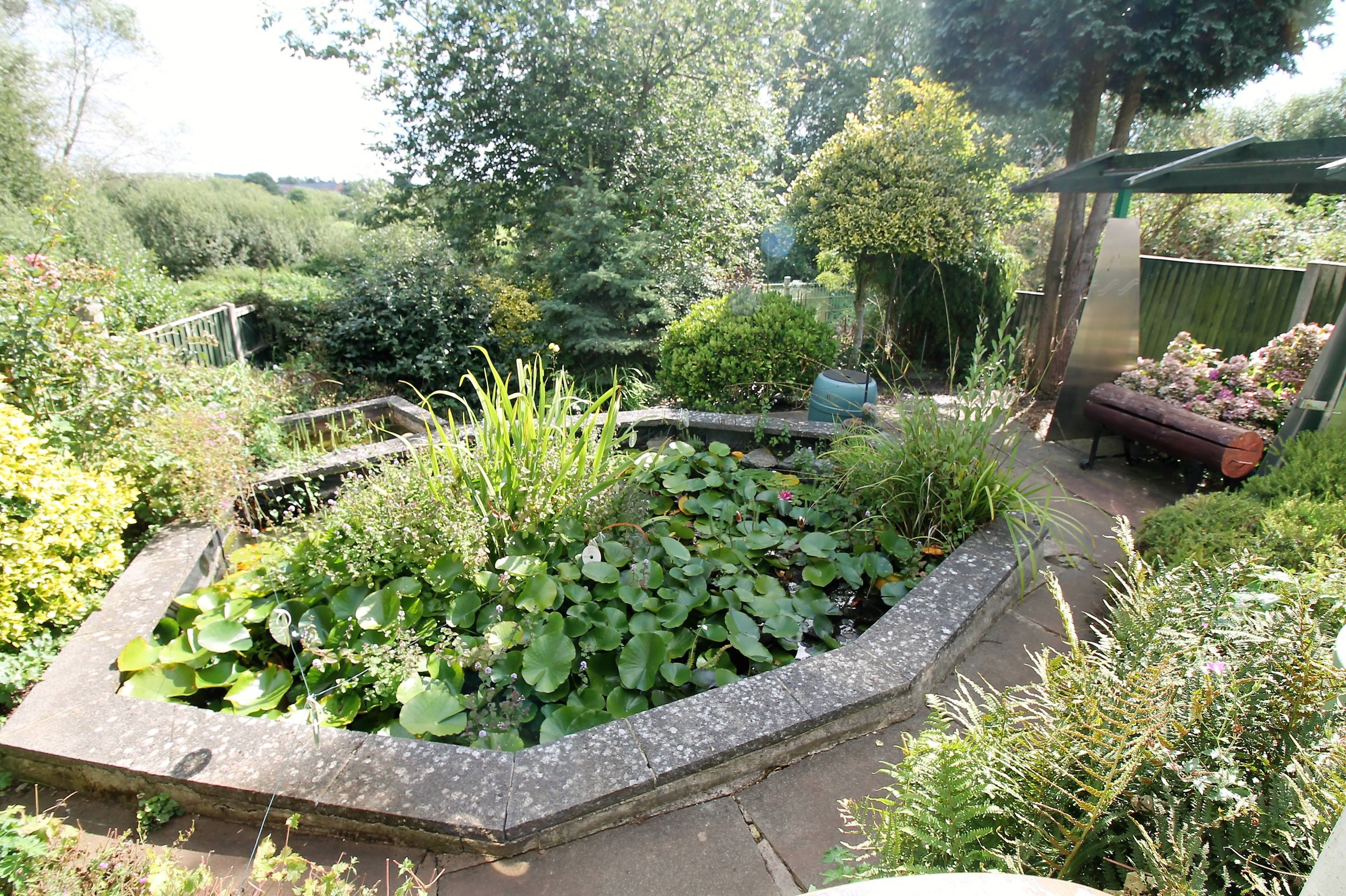 Lilly Pond