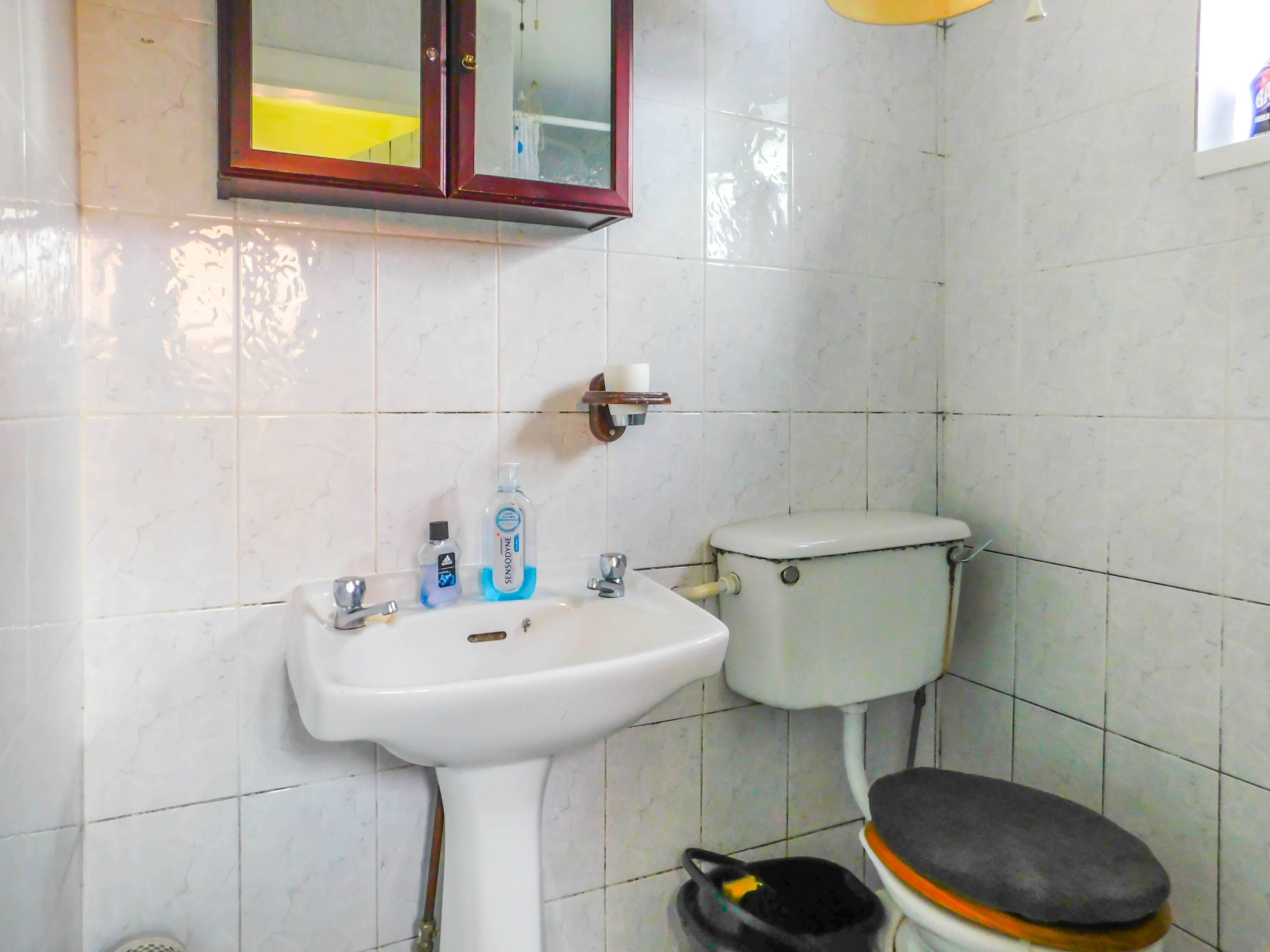 Downstairs Shower