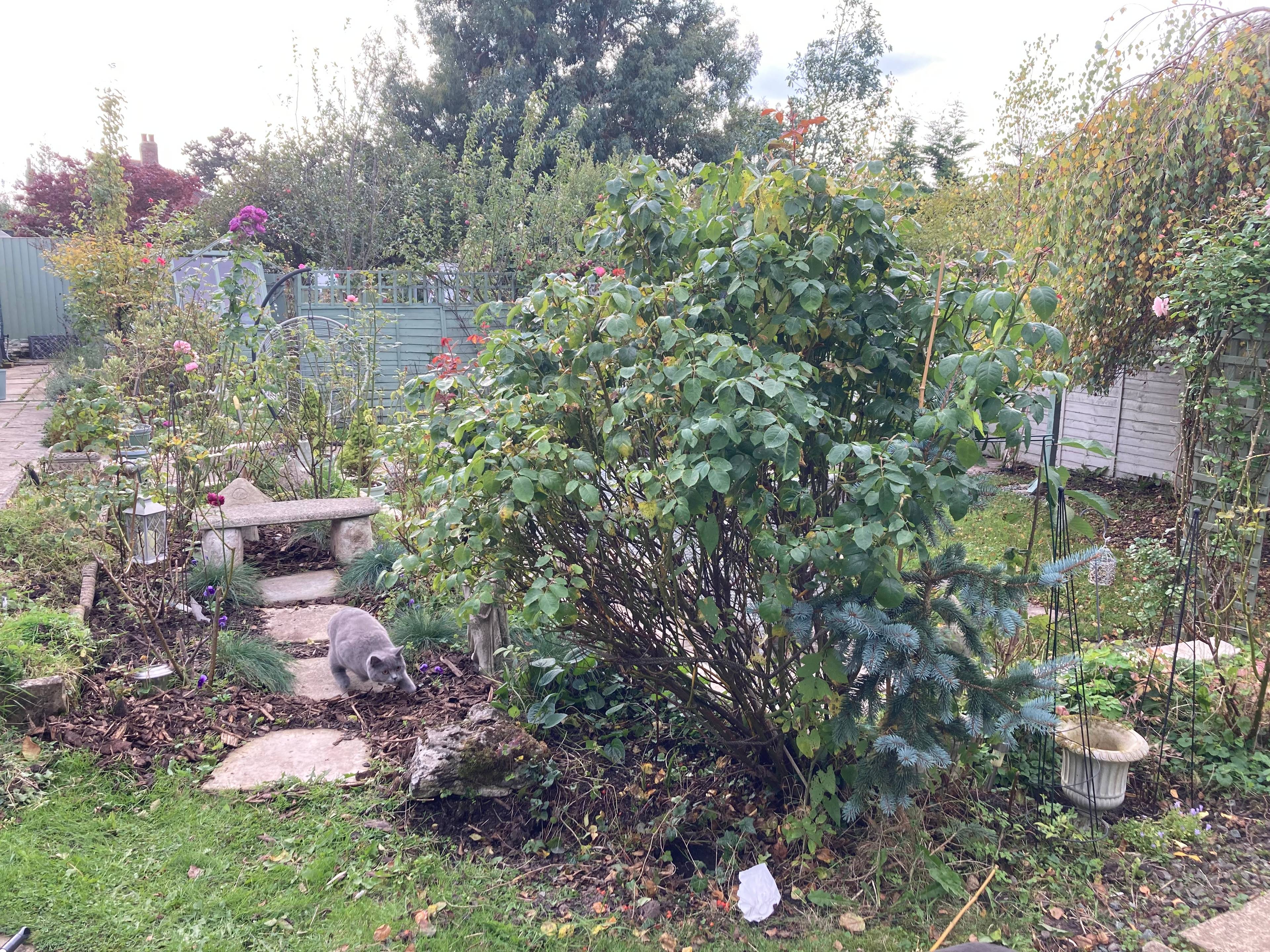Upper Garden