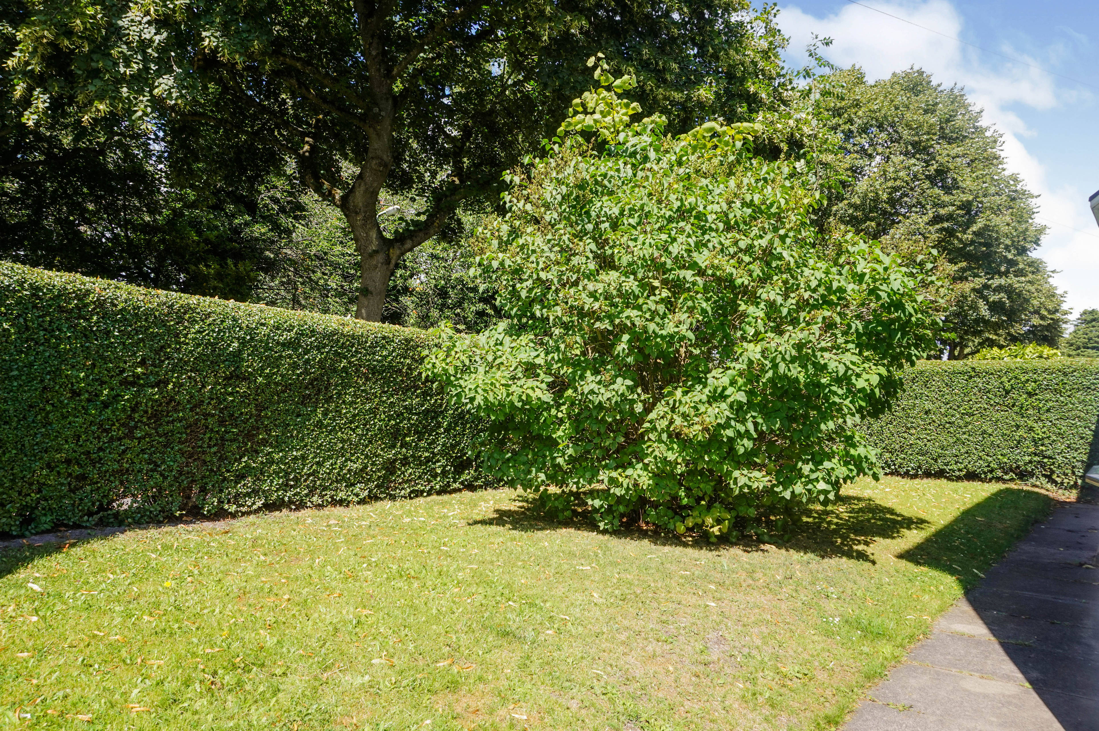 Front Garden