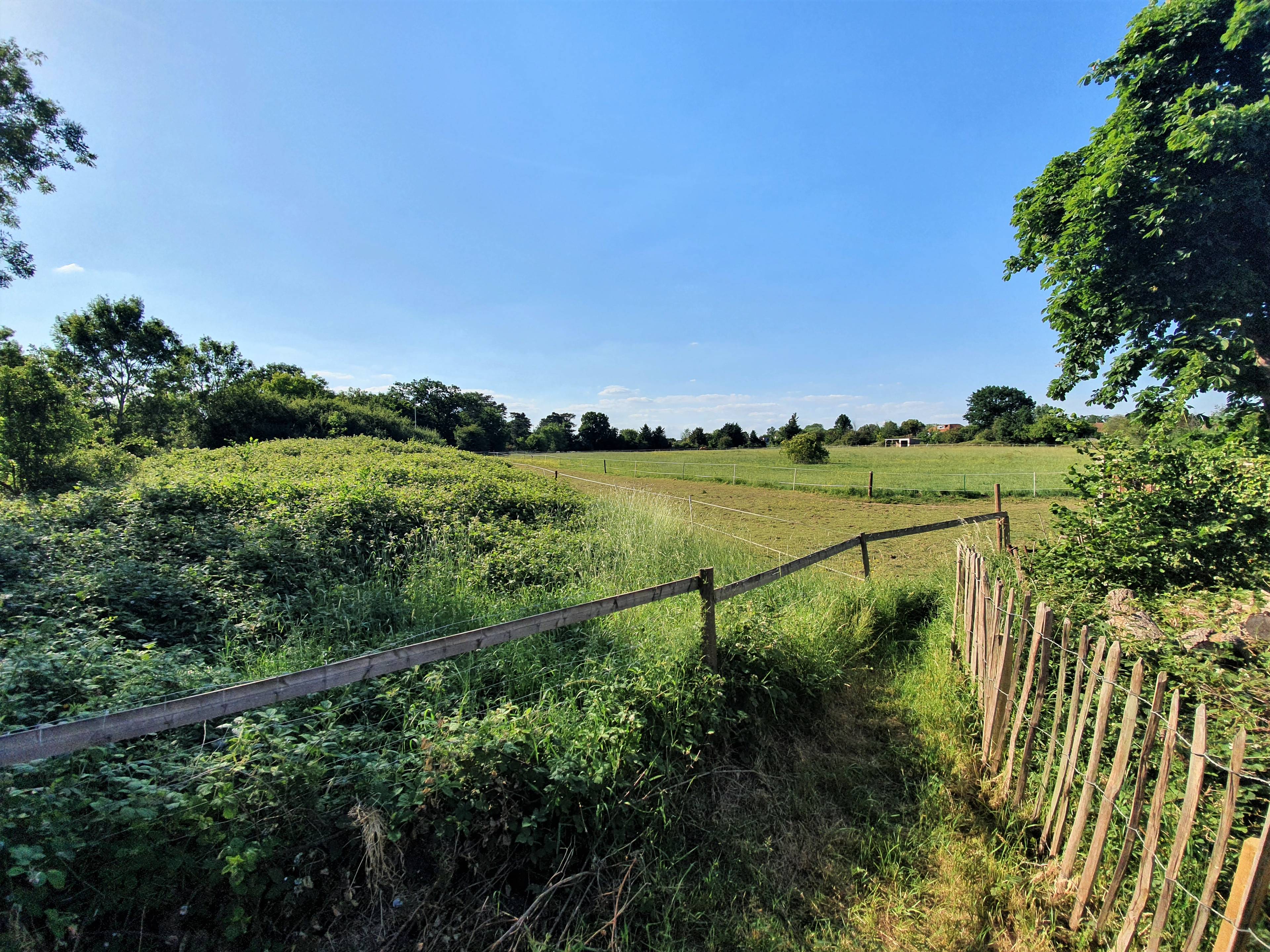 Local Area