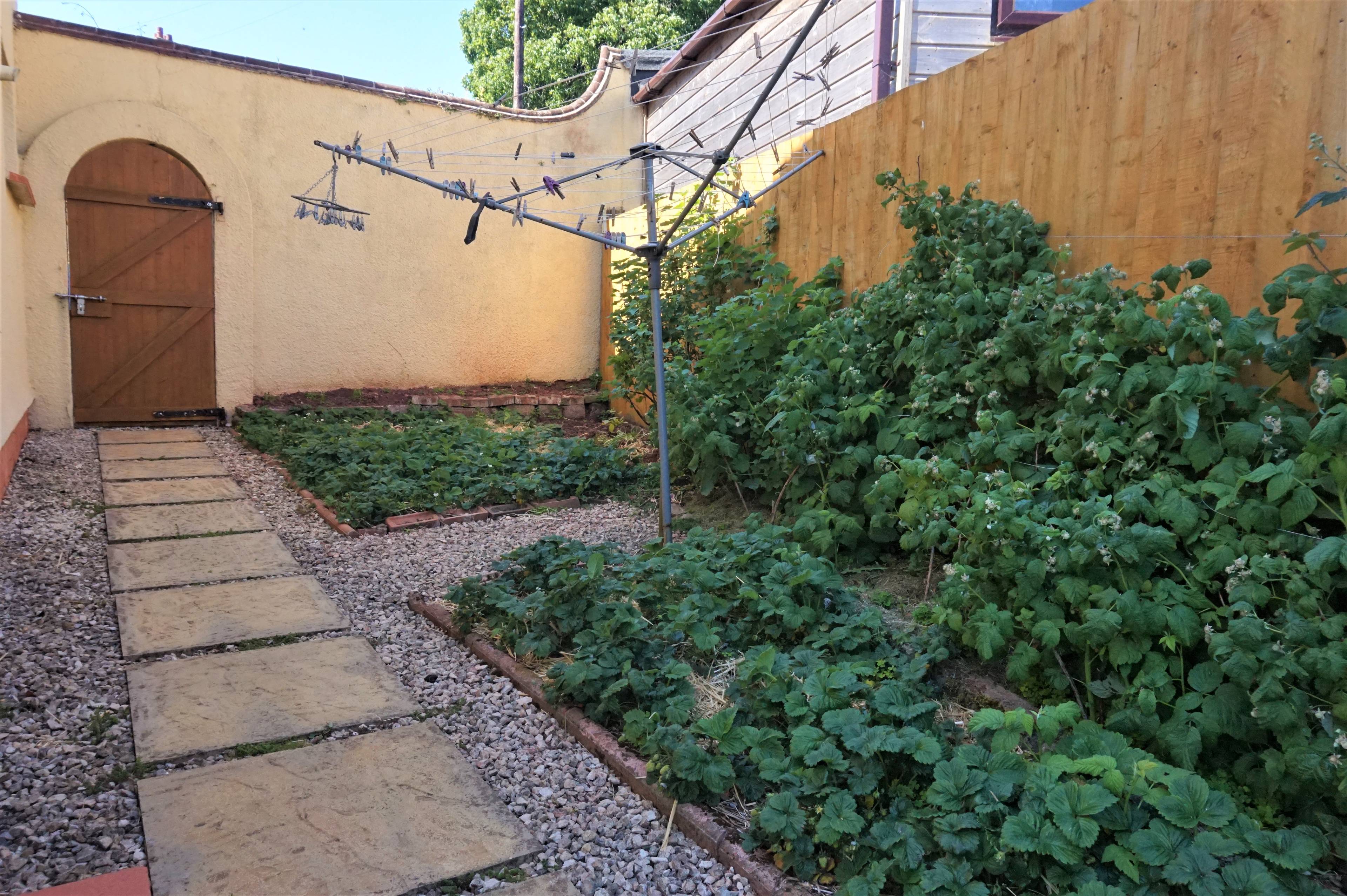 Side Garden