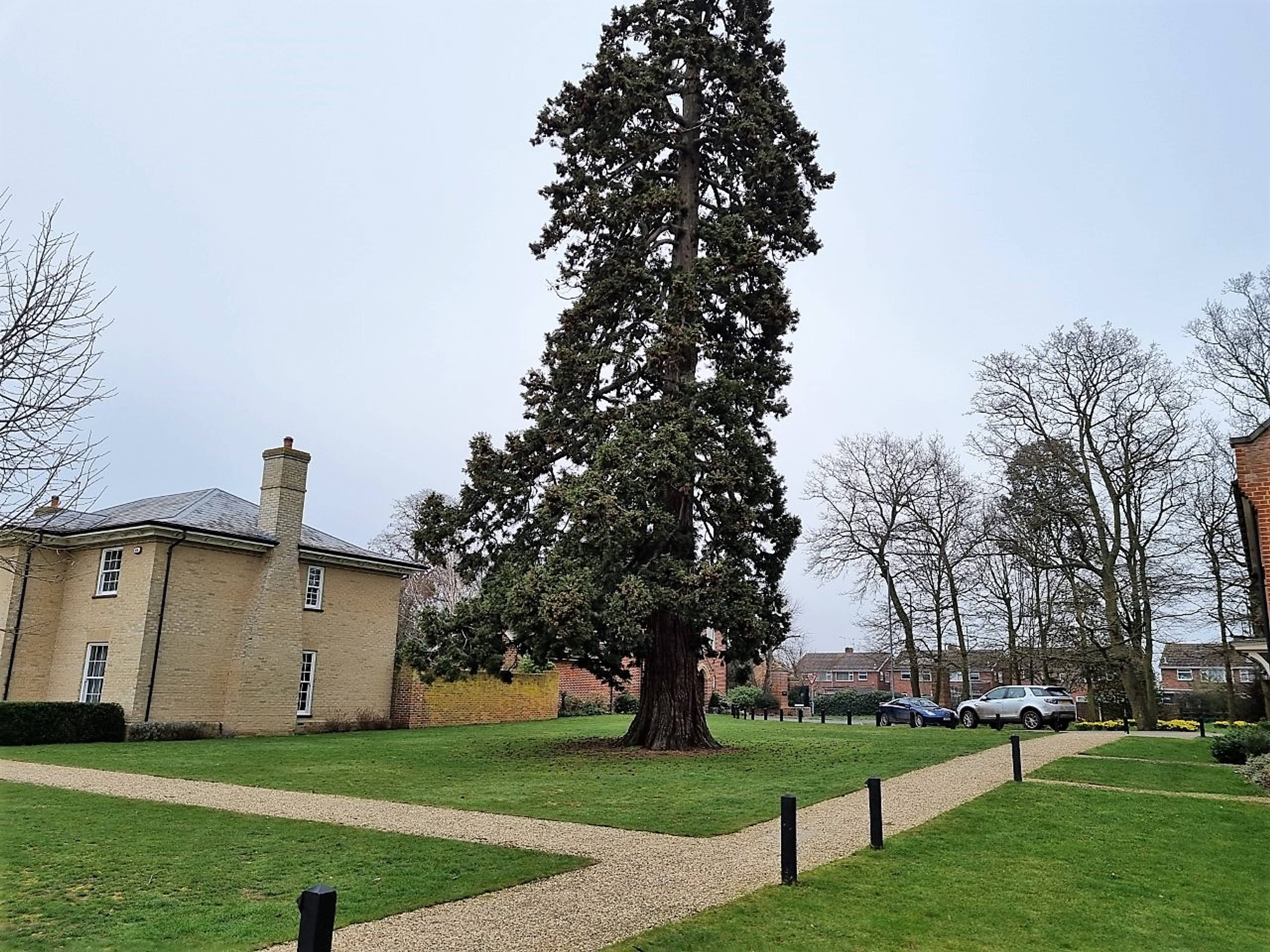 Communal Gardens