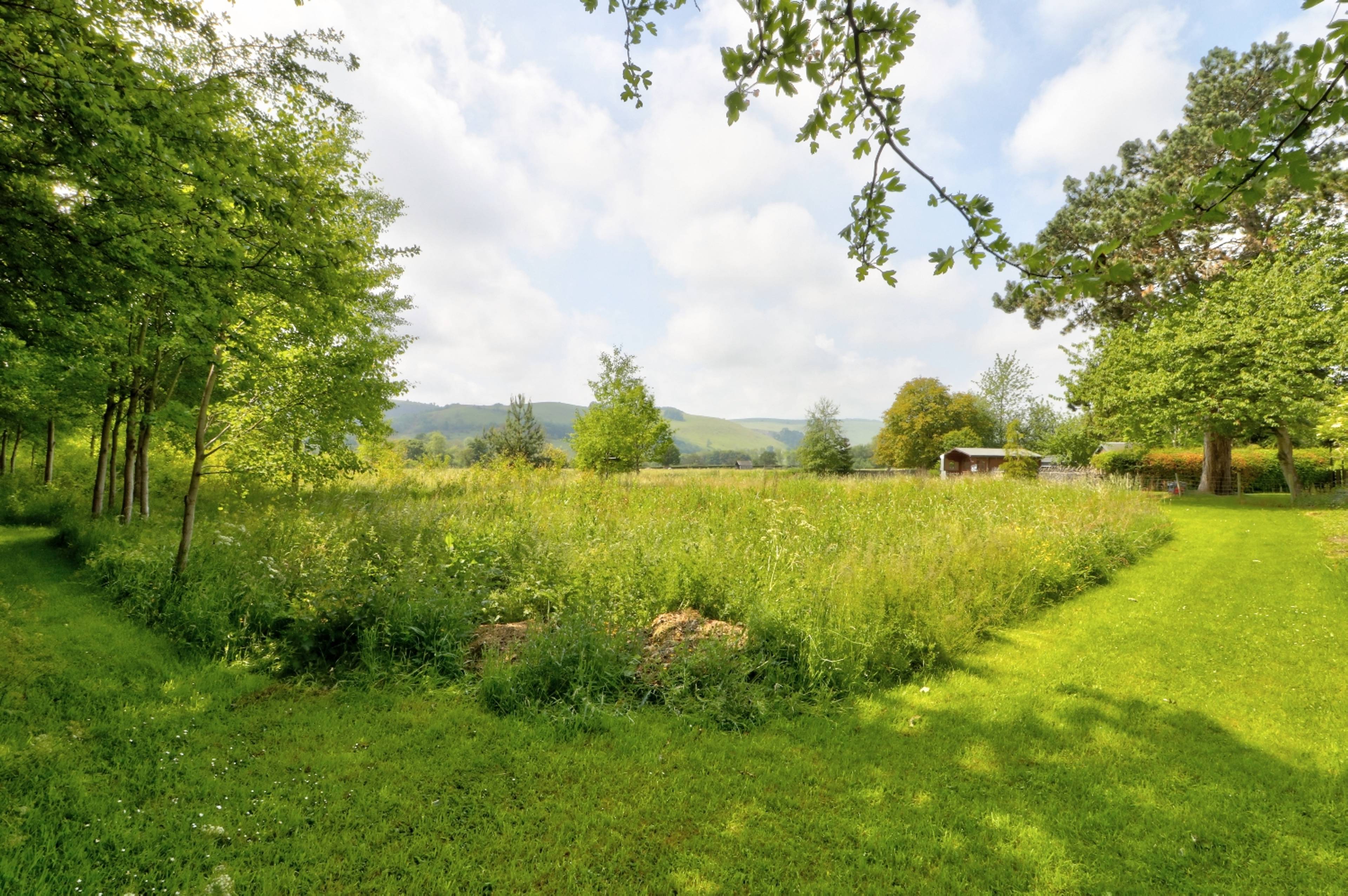 Field