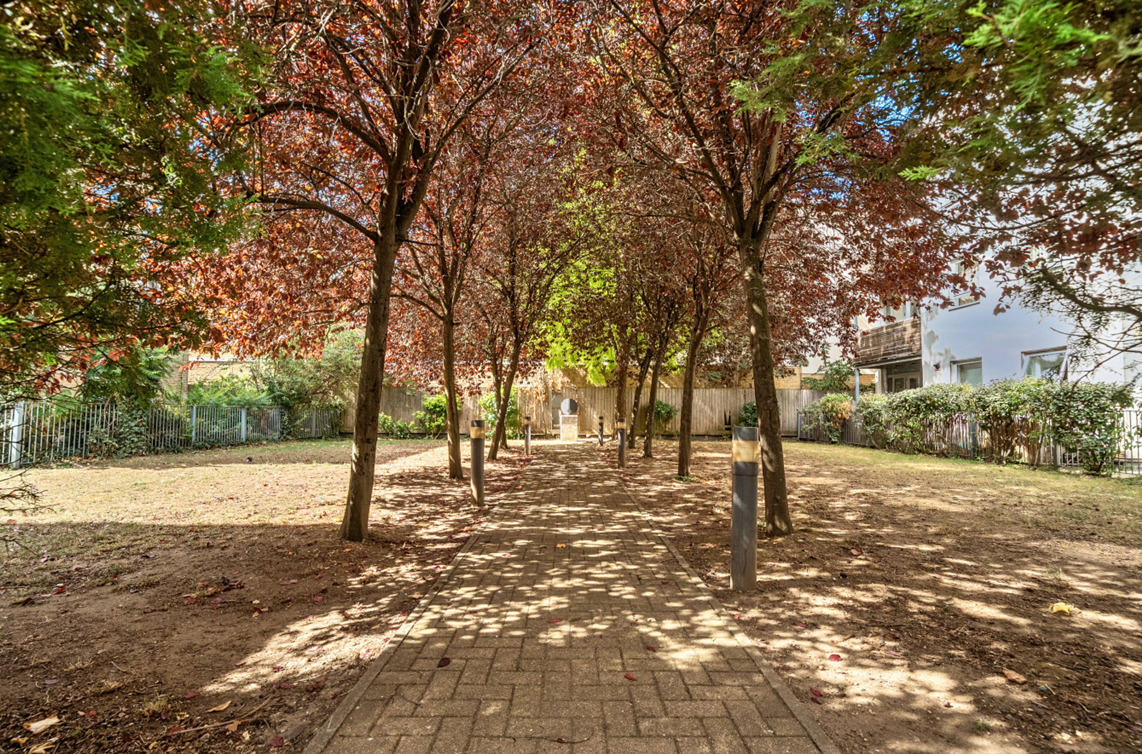 Communal Courtyard