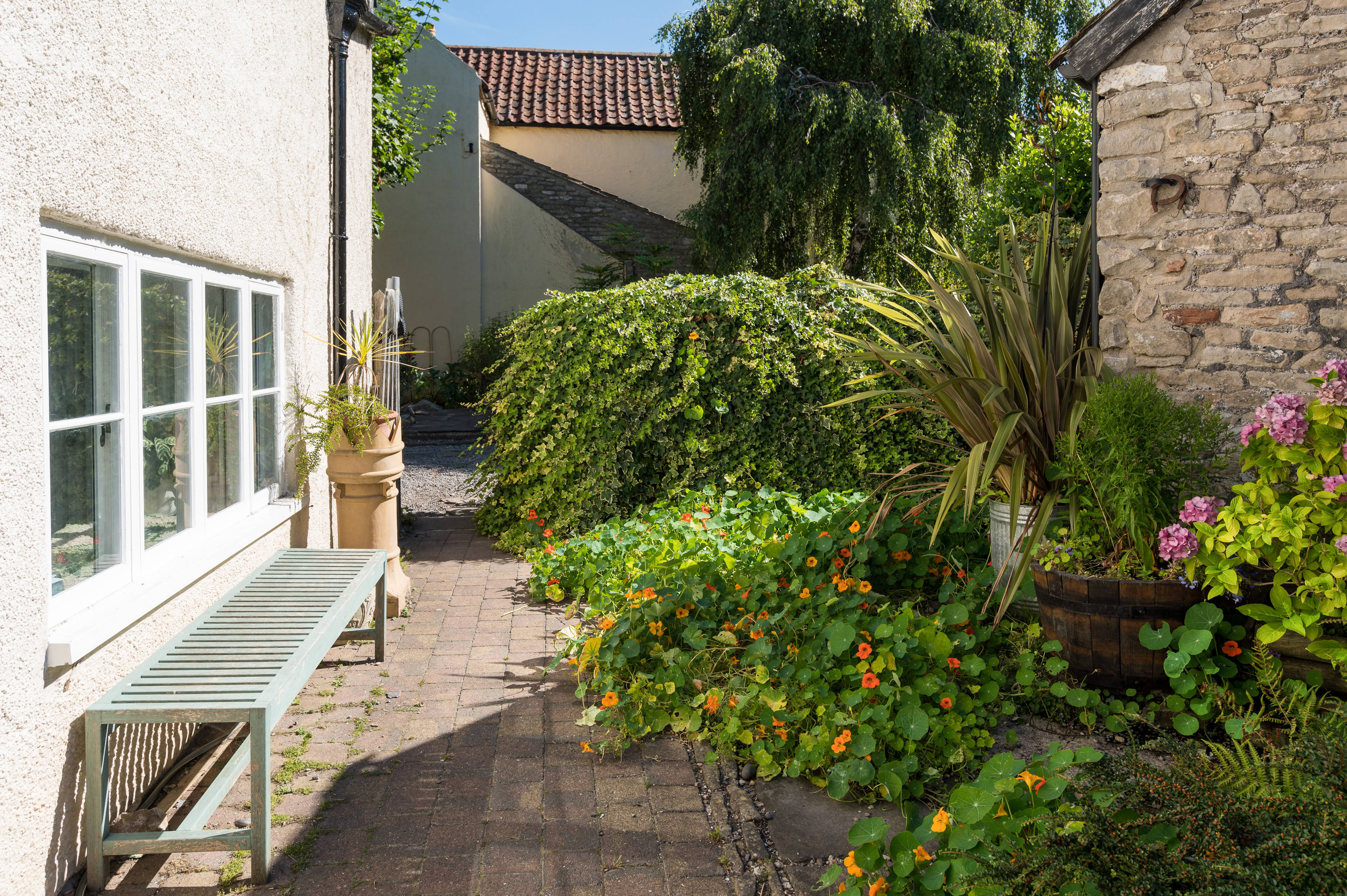 Side Garden