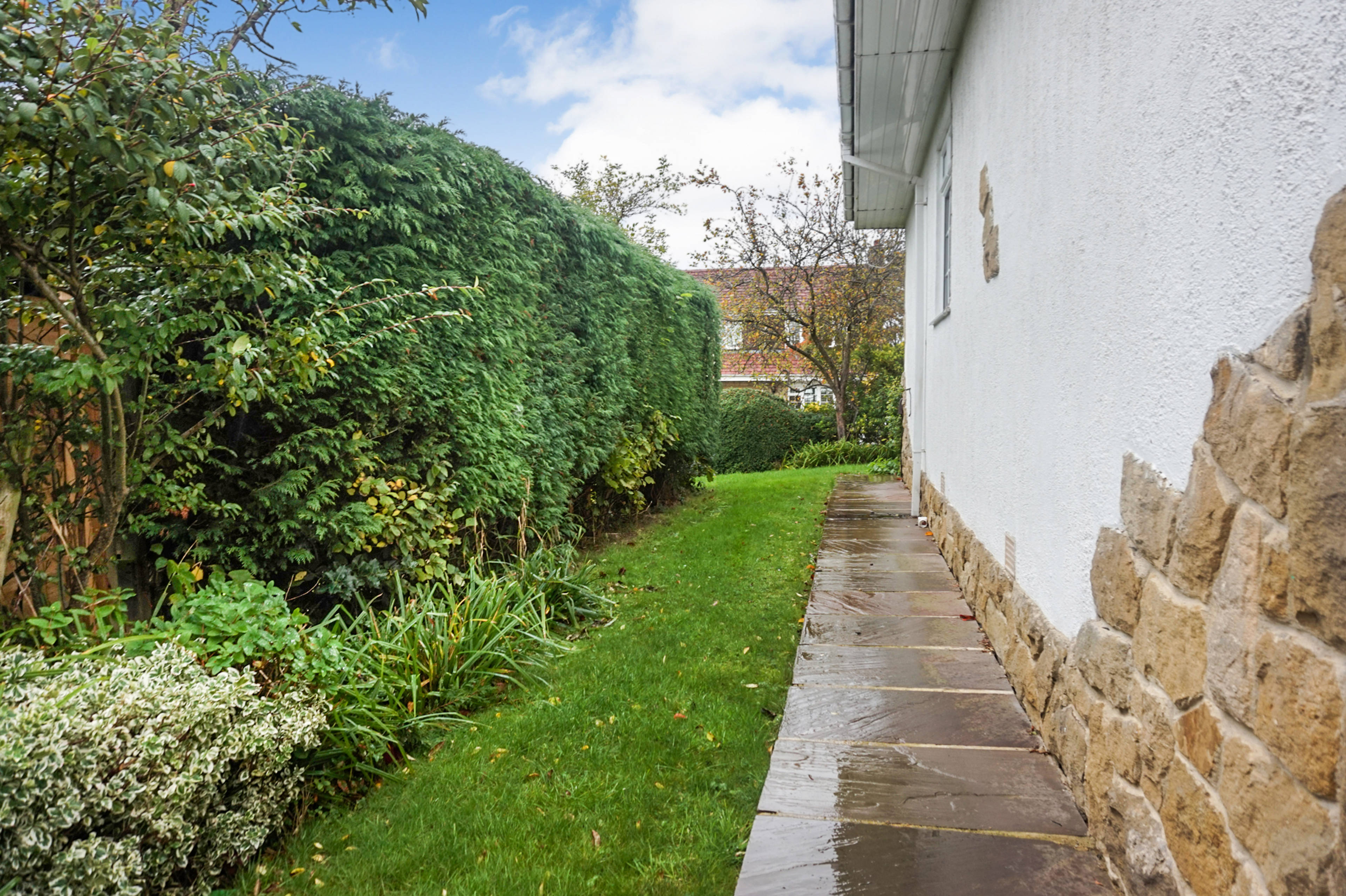 Side Garden