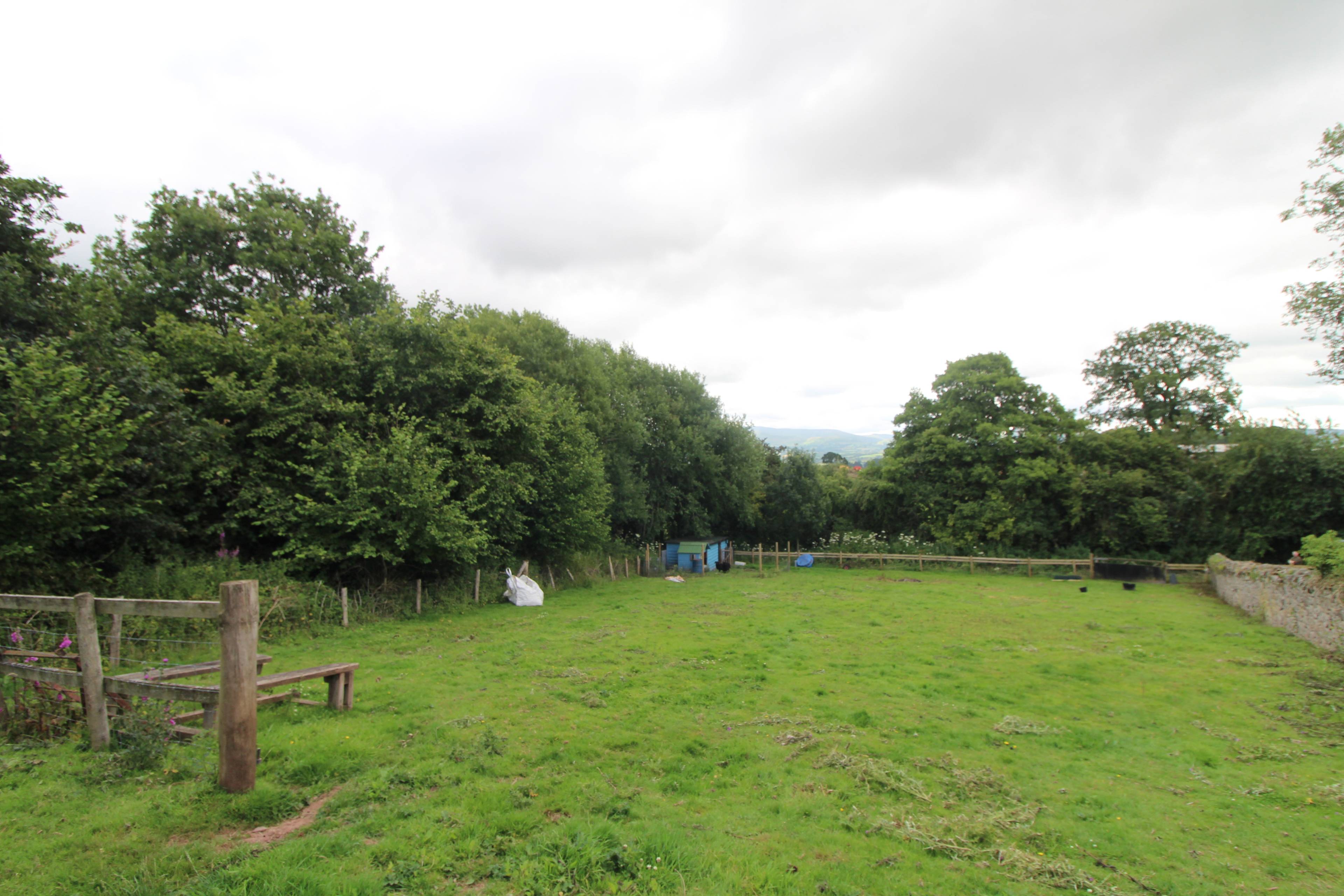 Paddock