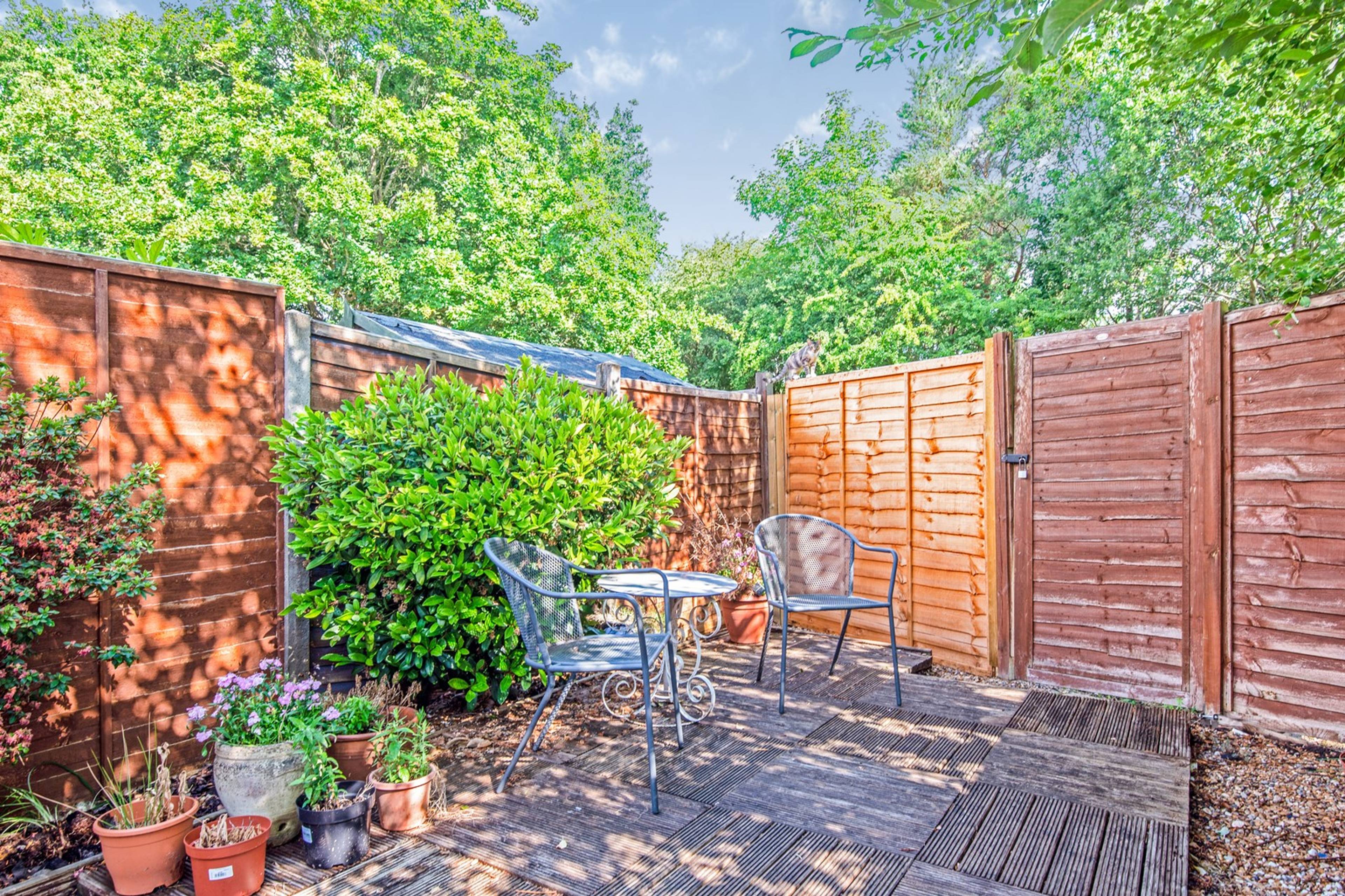 Garden