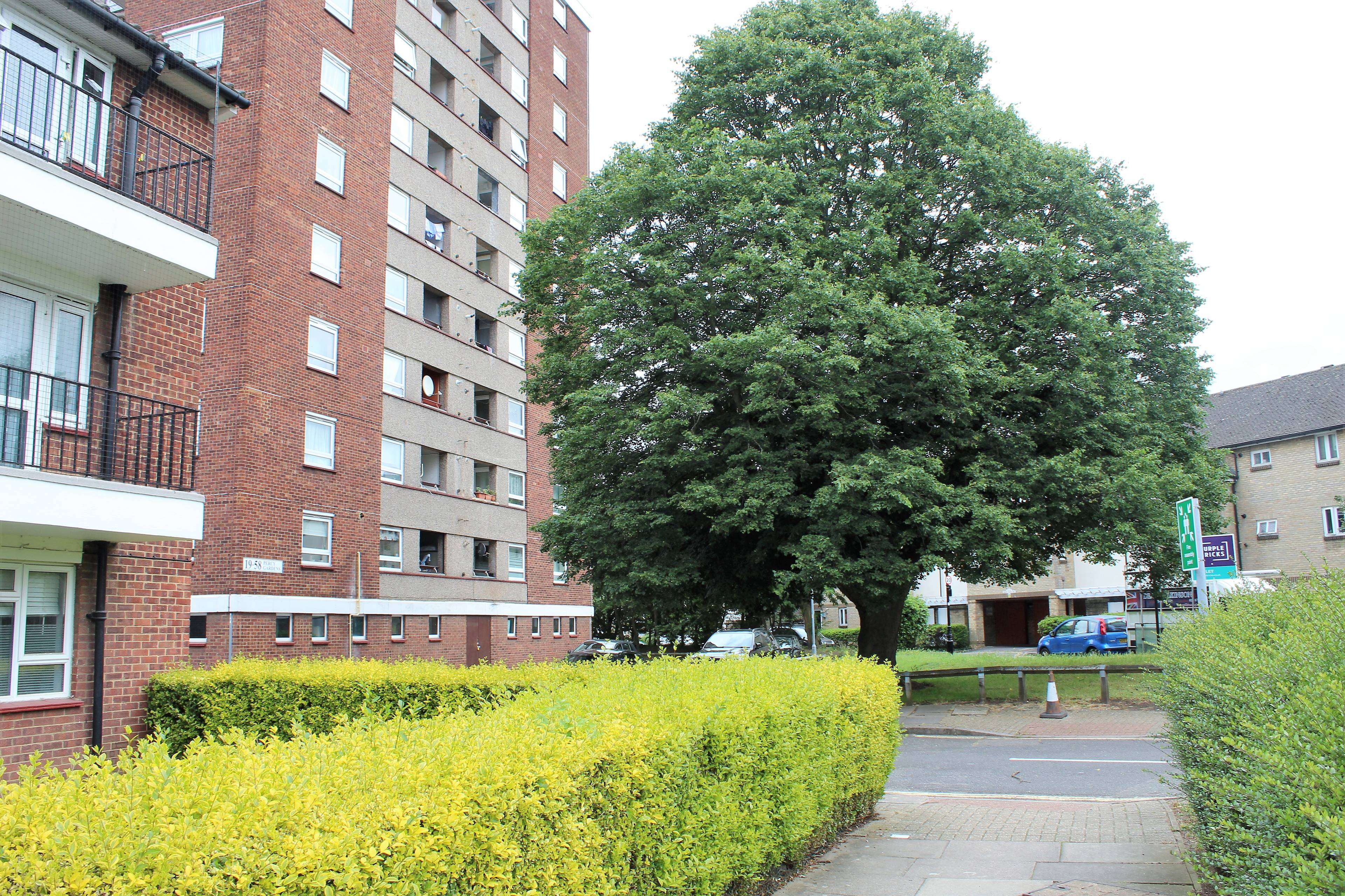 The Property