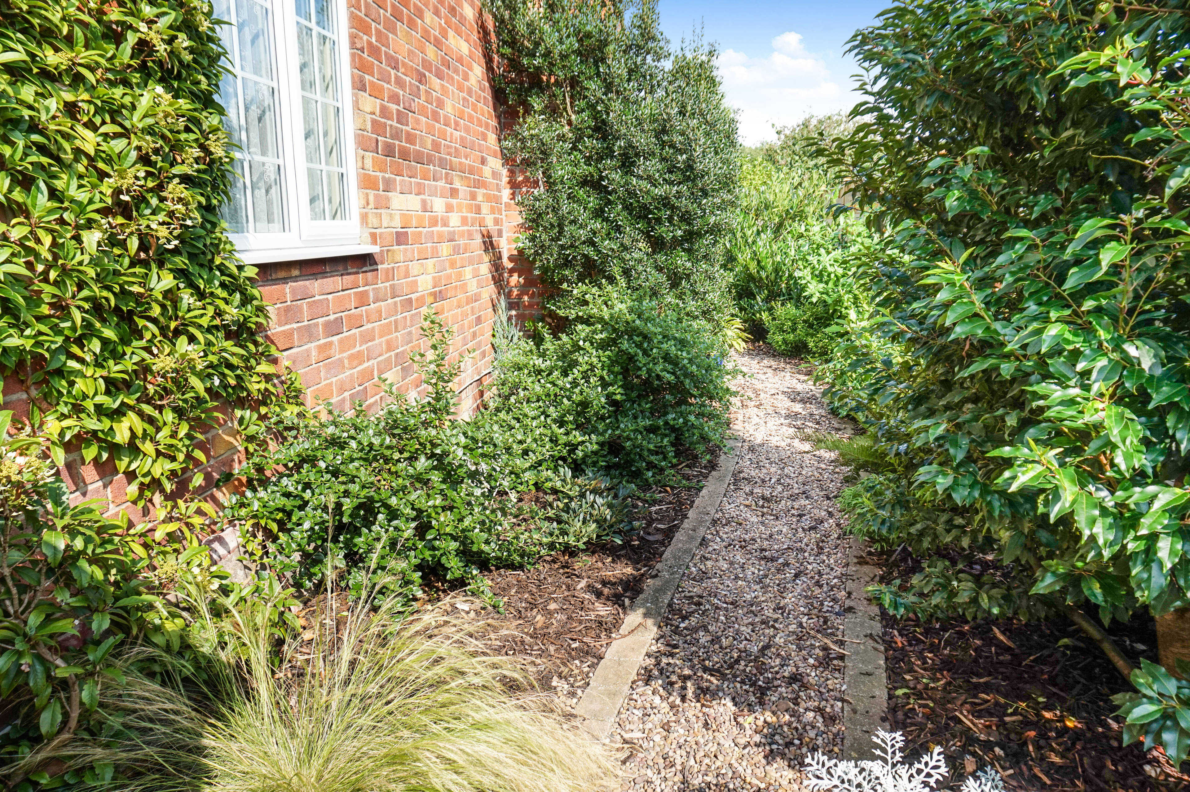 Side Garden