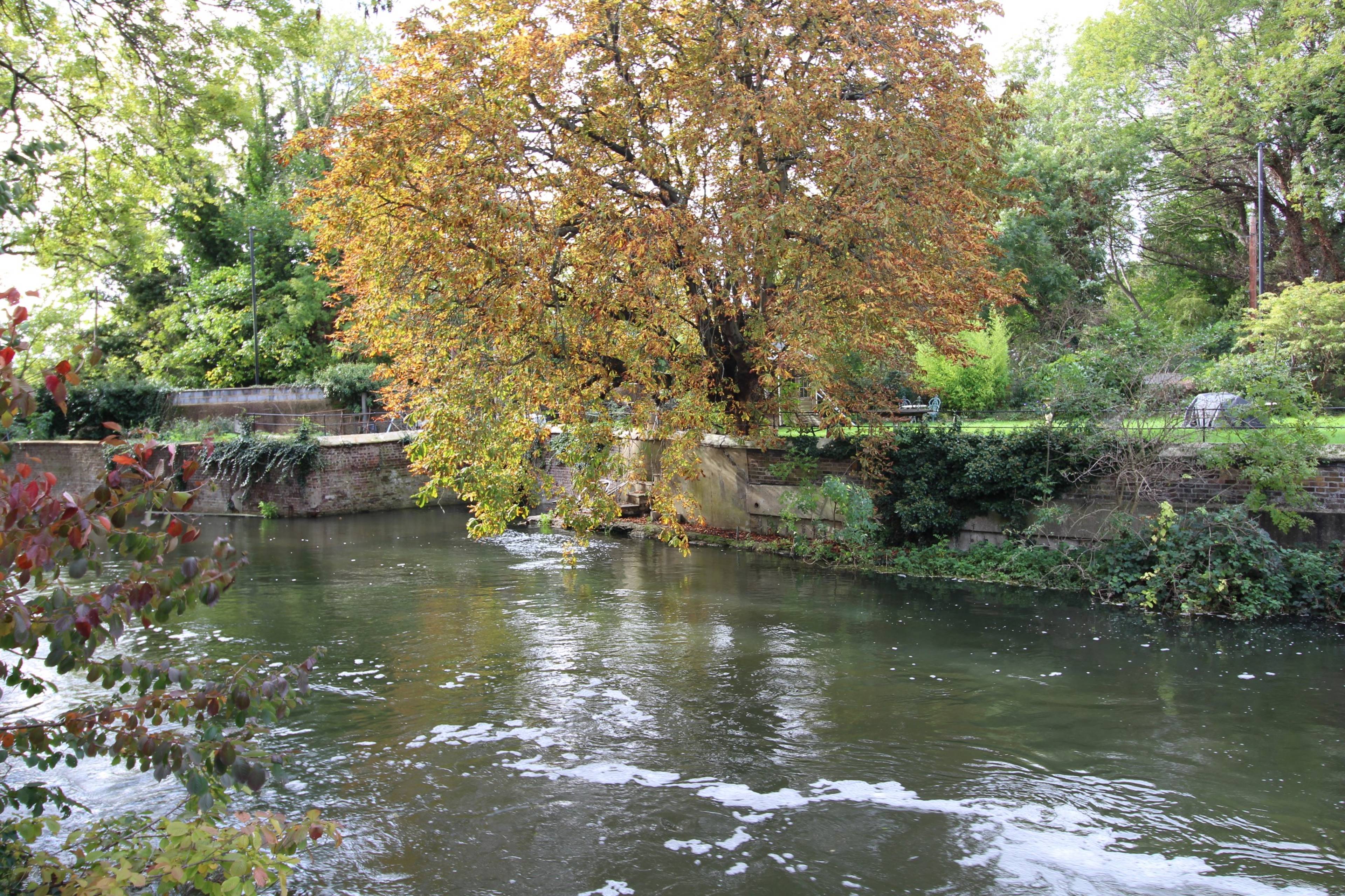 Nearby River