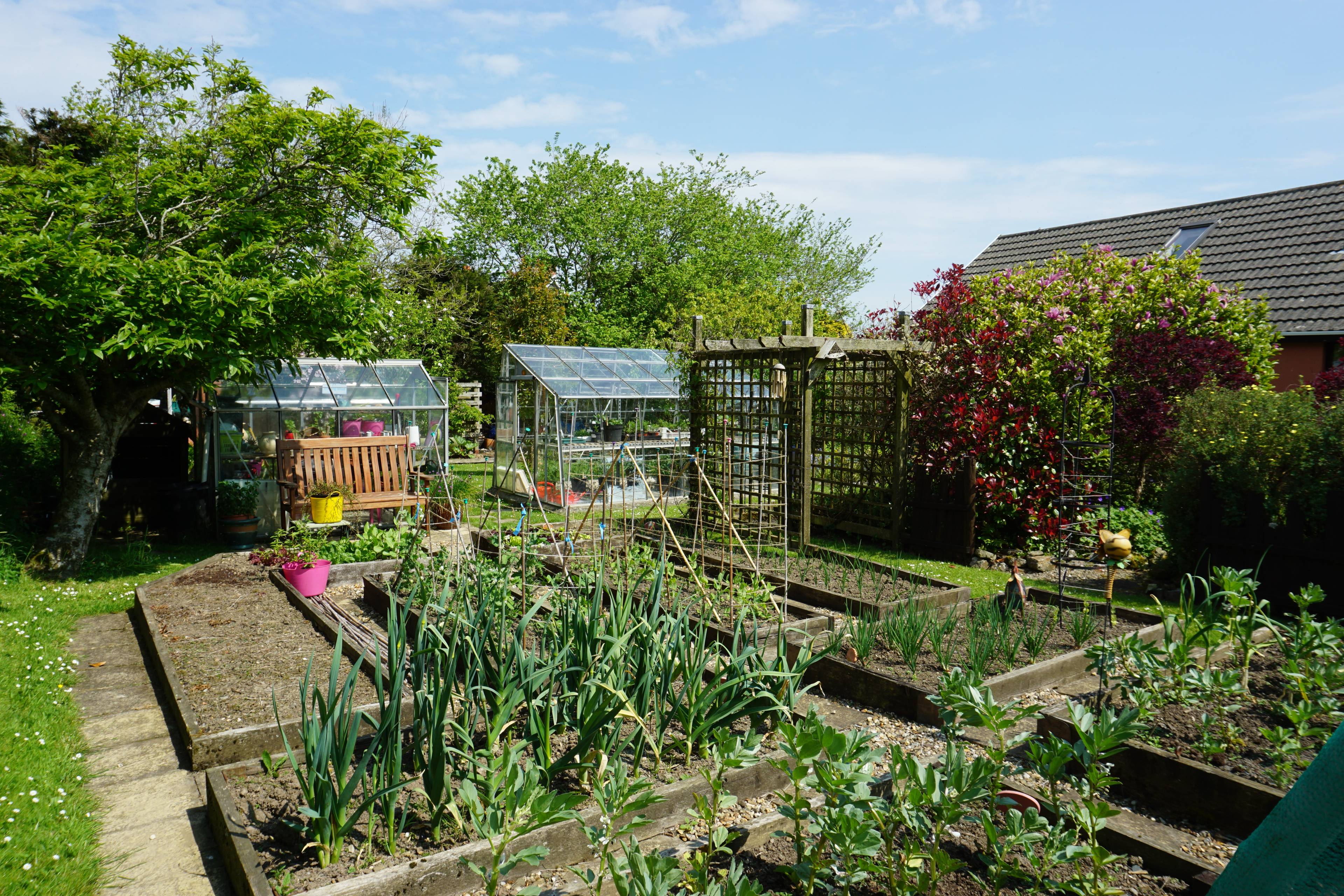 Garden