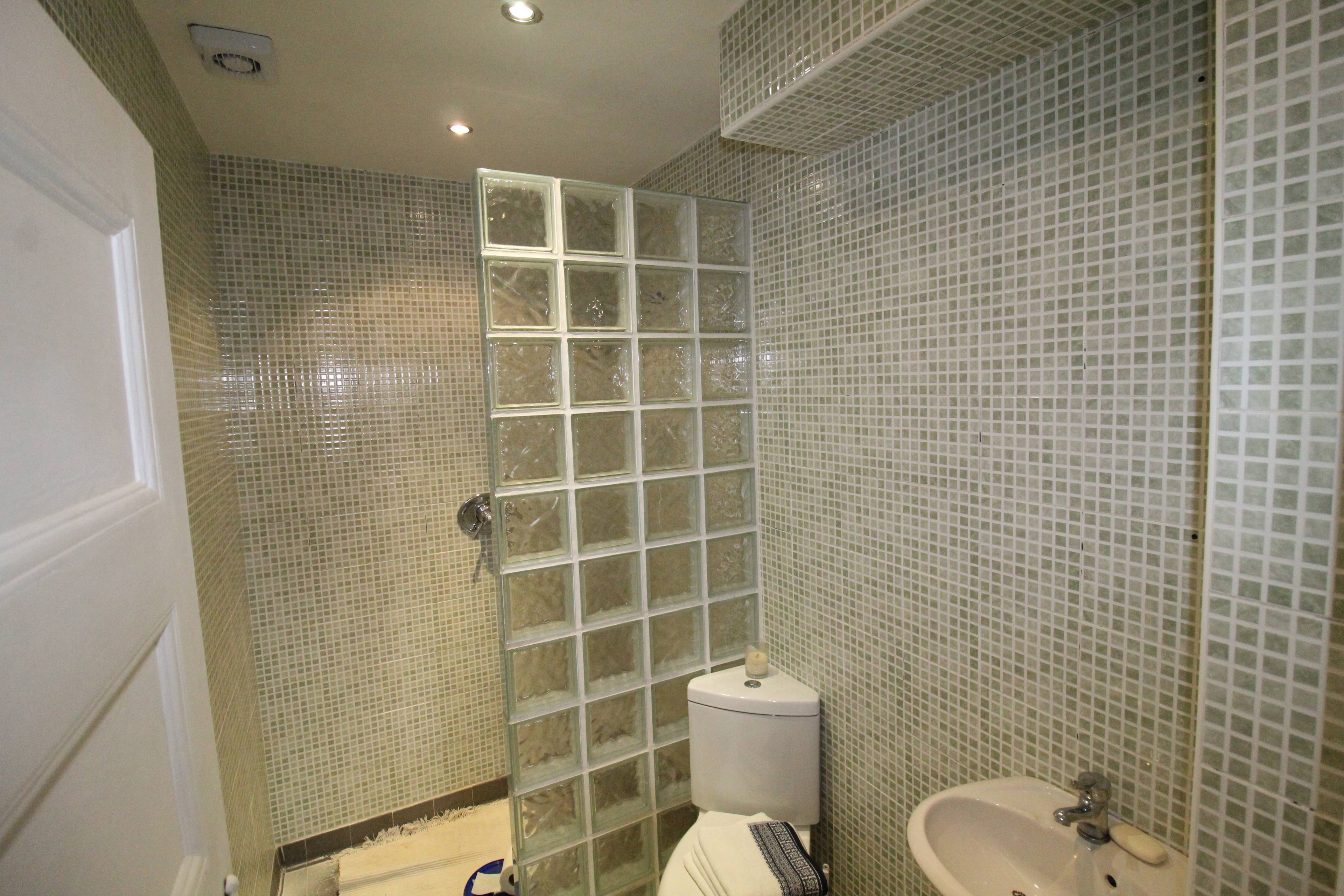 Downstairs Shower