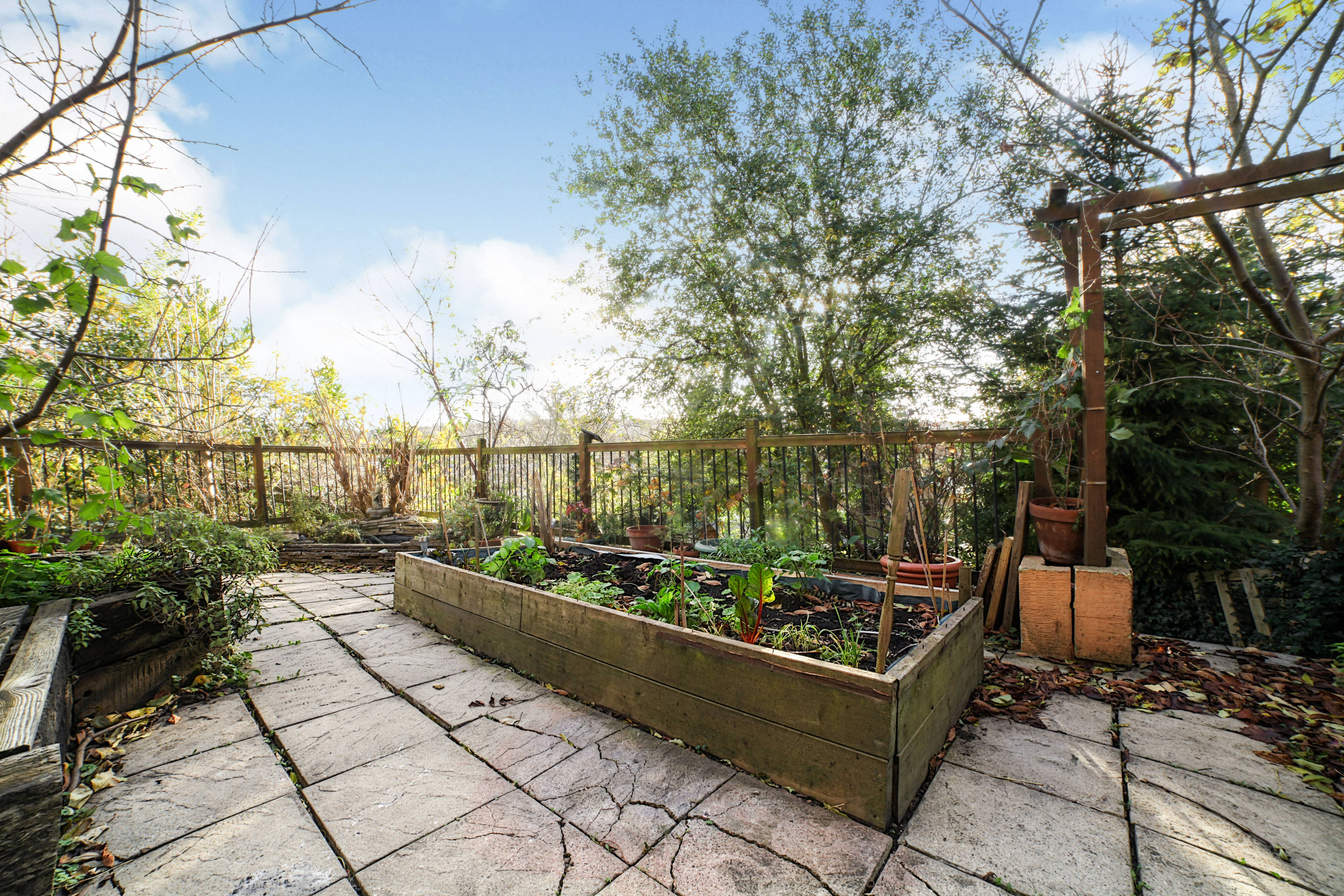 Garden