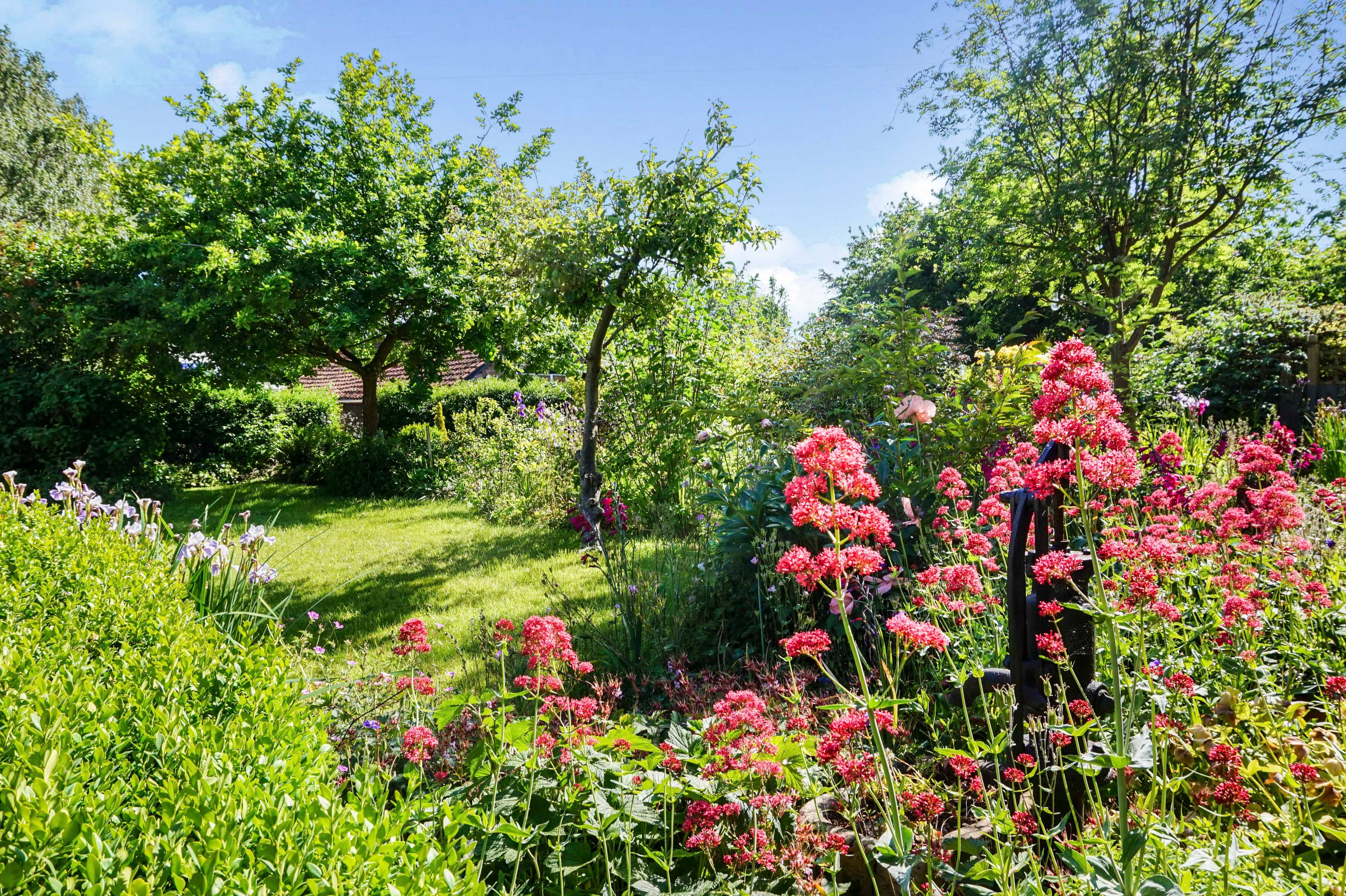 Front Garden