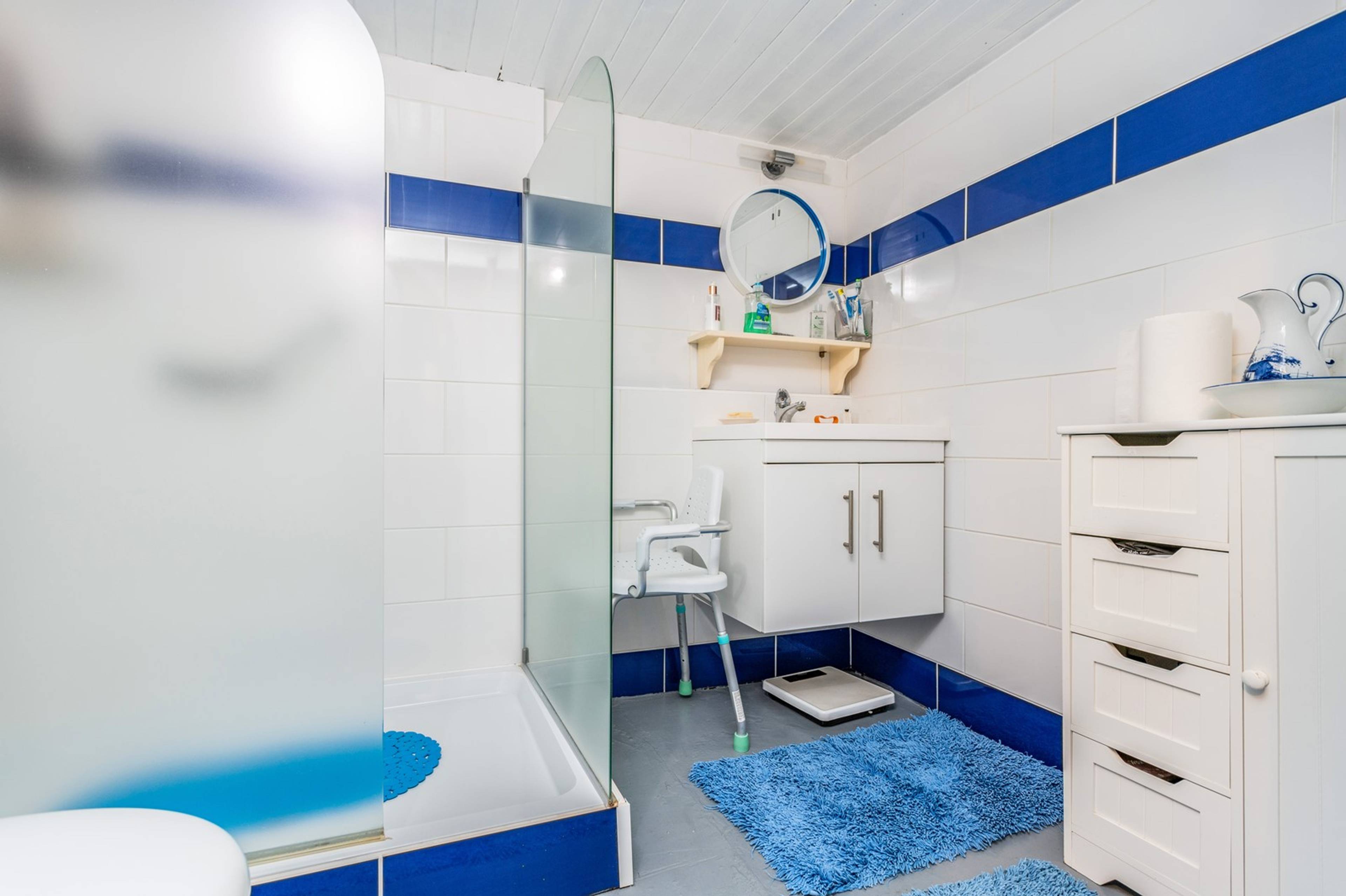 Downstairs Shower