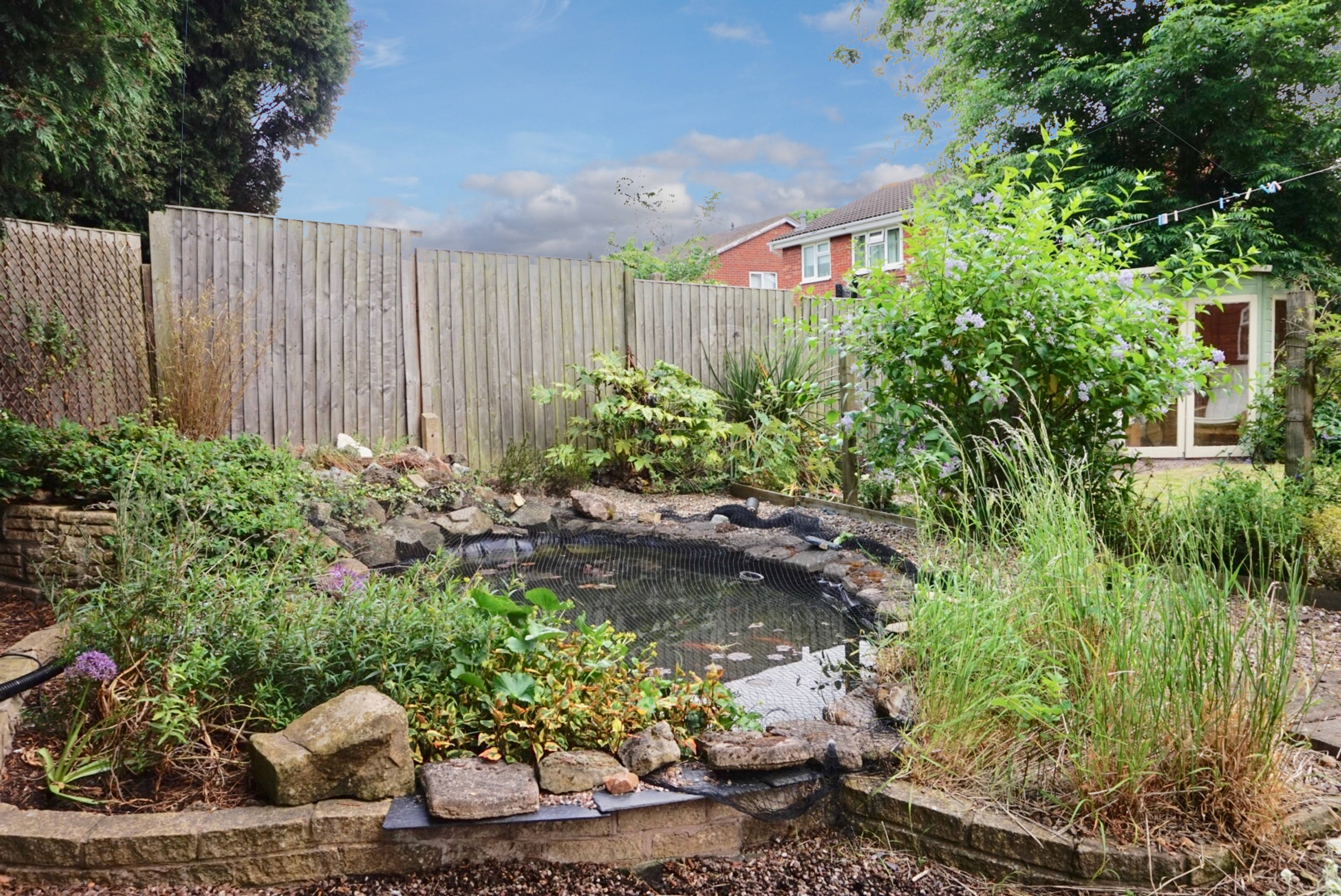 Pond