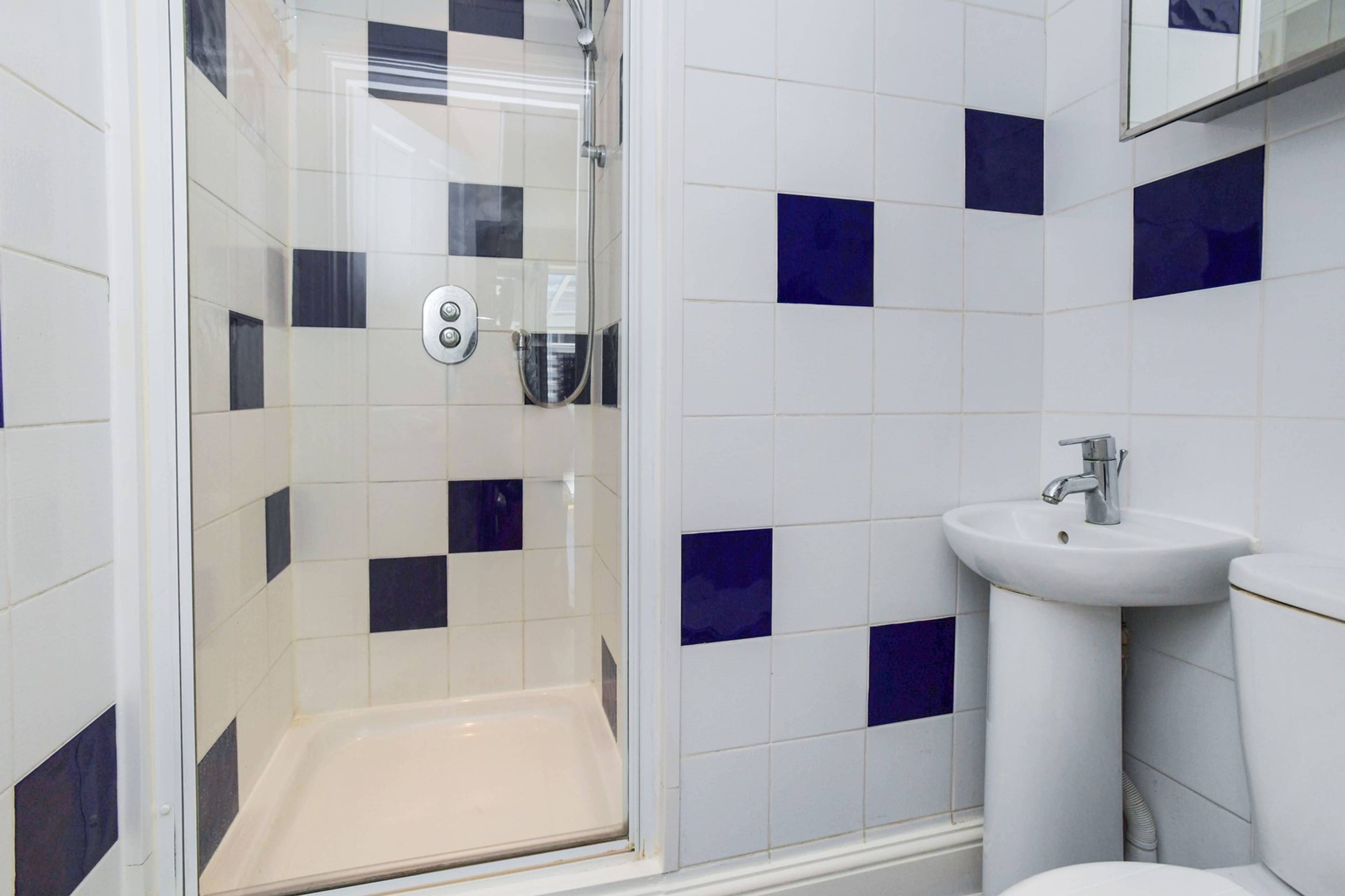 Annexe Shower Room